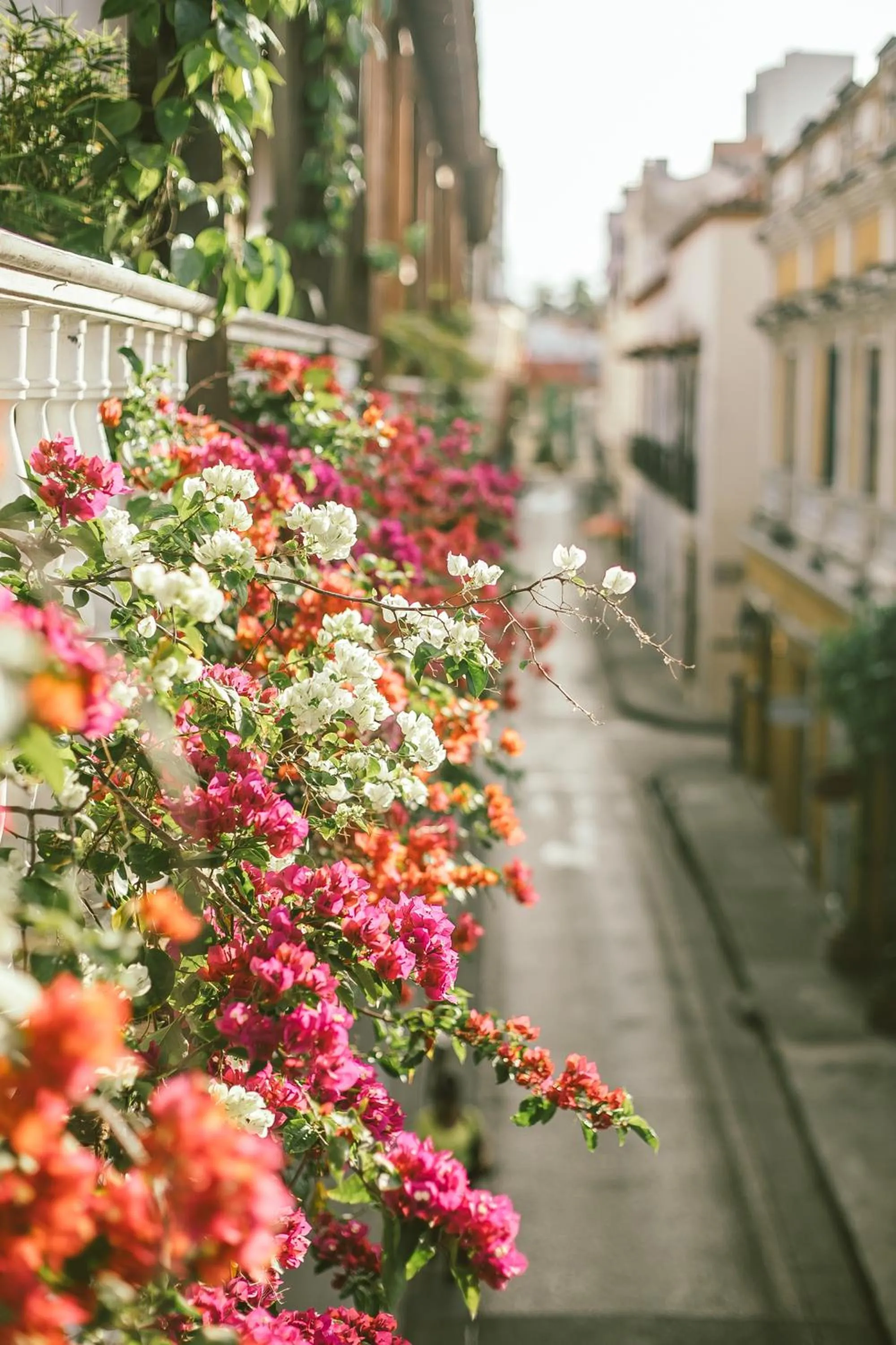 Neighbourhood in Amarla Boutique Hotel Cartagena