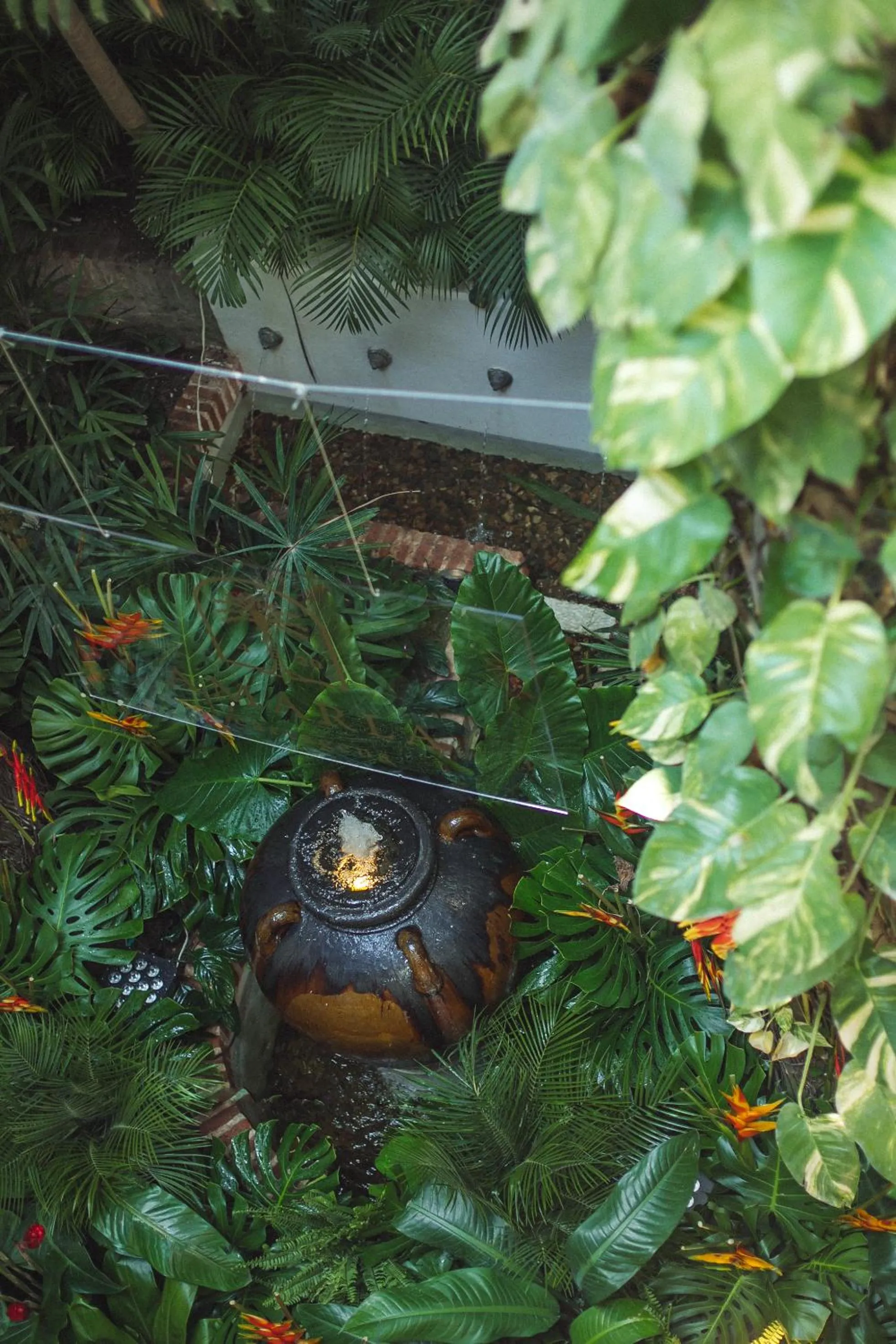 Natural landscape in Amarla Boutique Hotel Cartagena