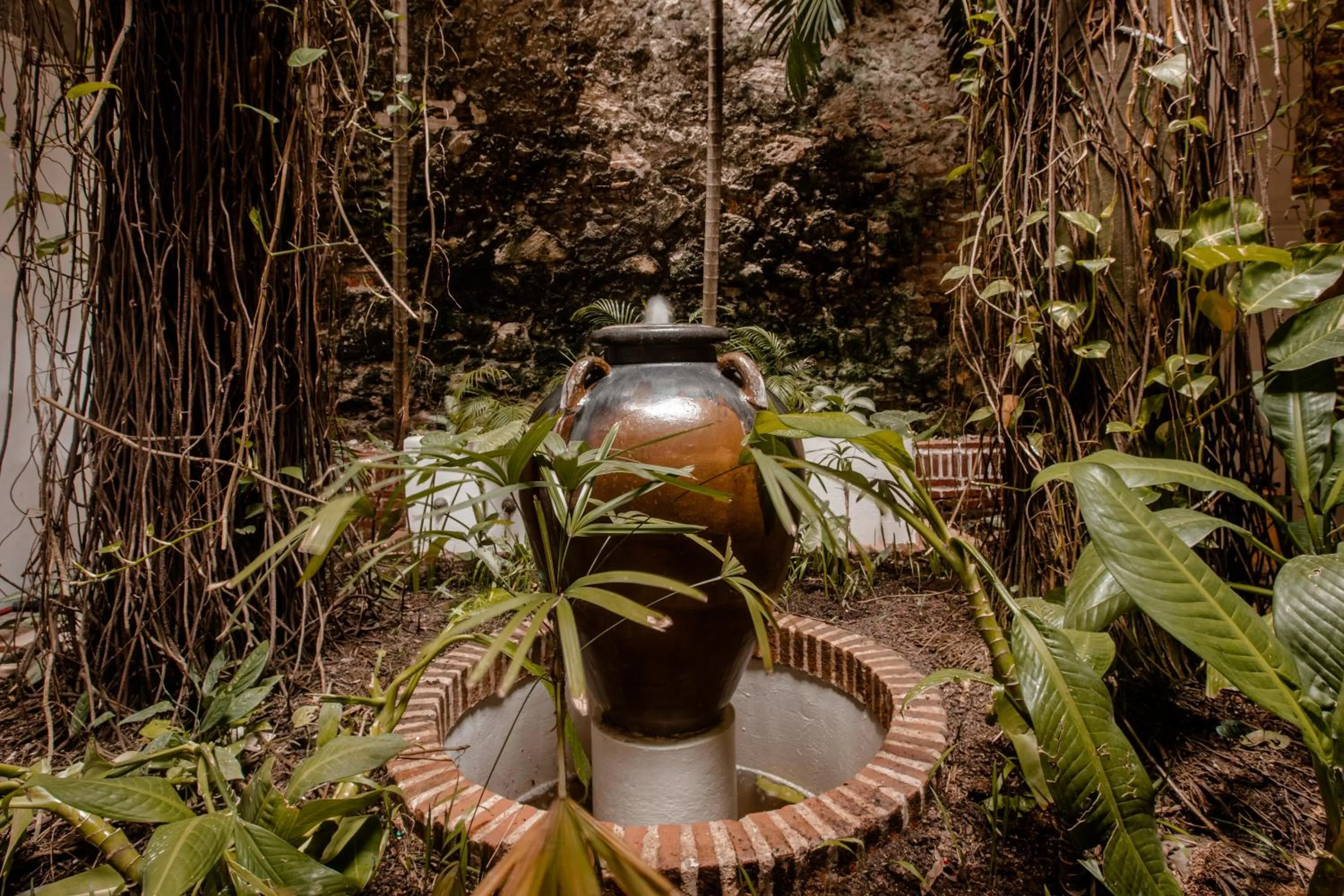 Garden in Amarla Boutique Hotel Cartagena