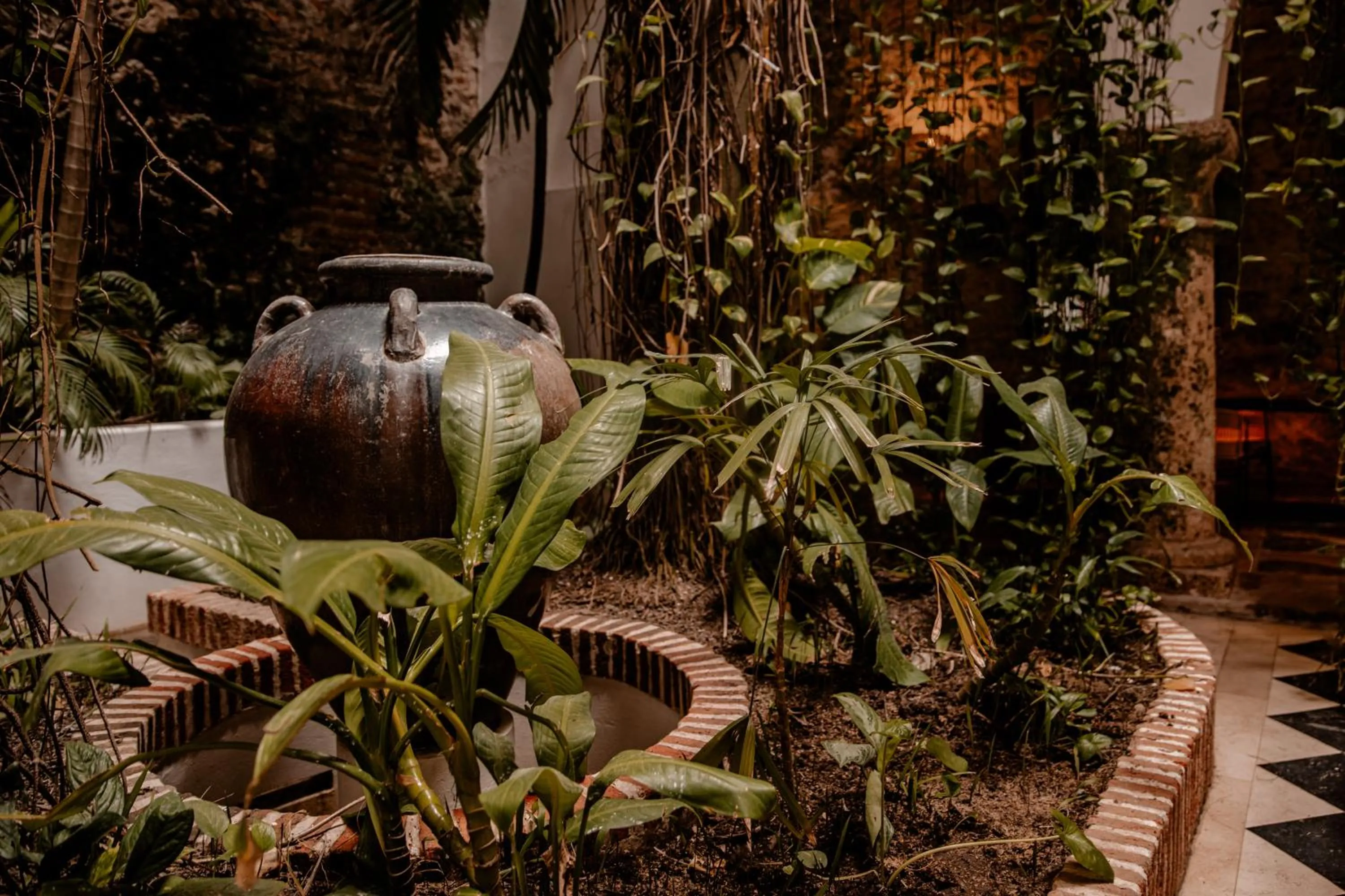 Garden in Amarla Boutique Hotel Cartagena
