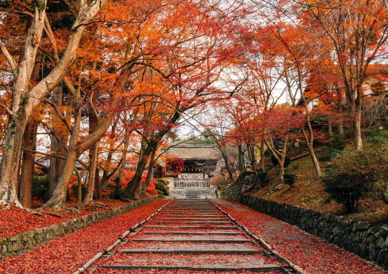 Nearby landmark in Kyoto Yamashina Hotel Sanraku
