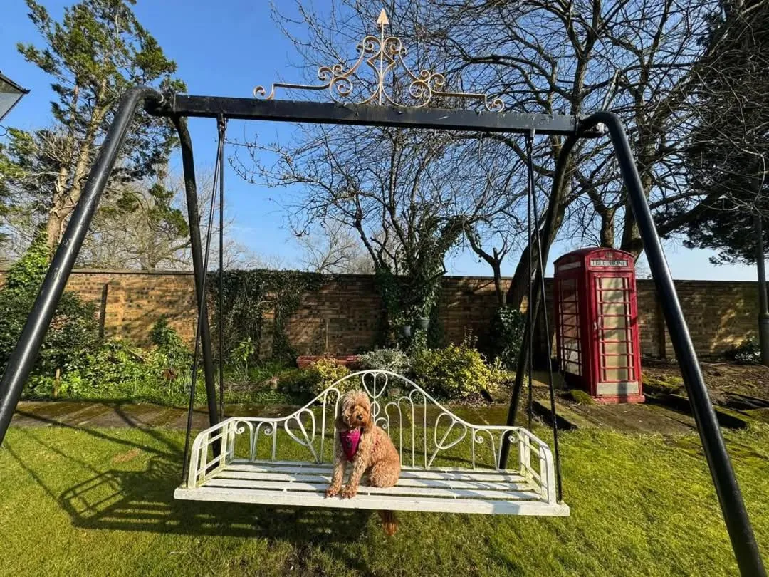 Garden in The Popinjay Hotel