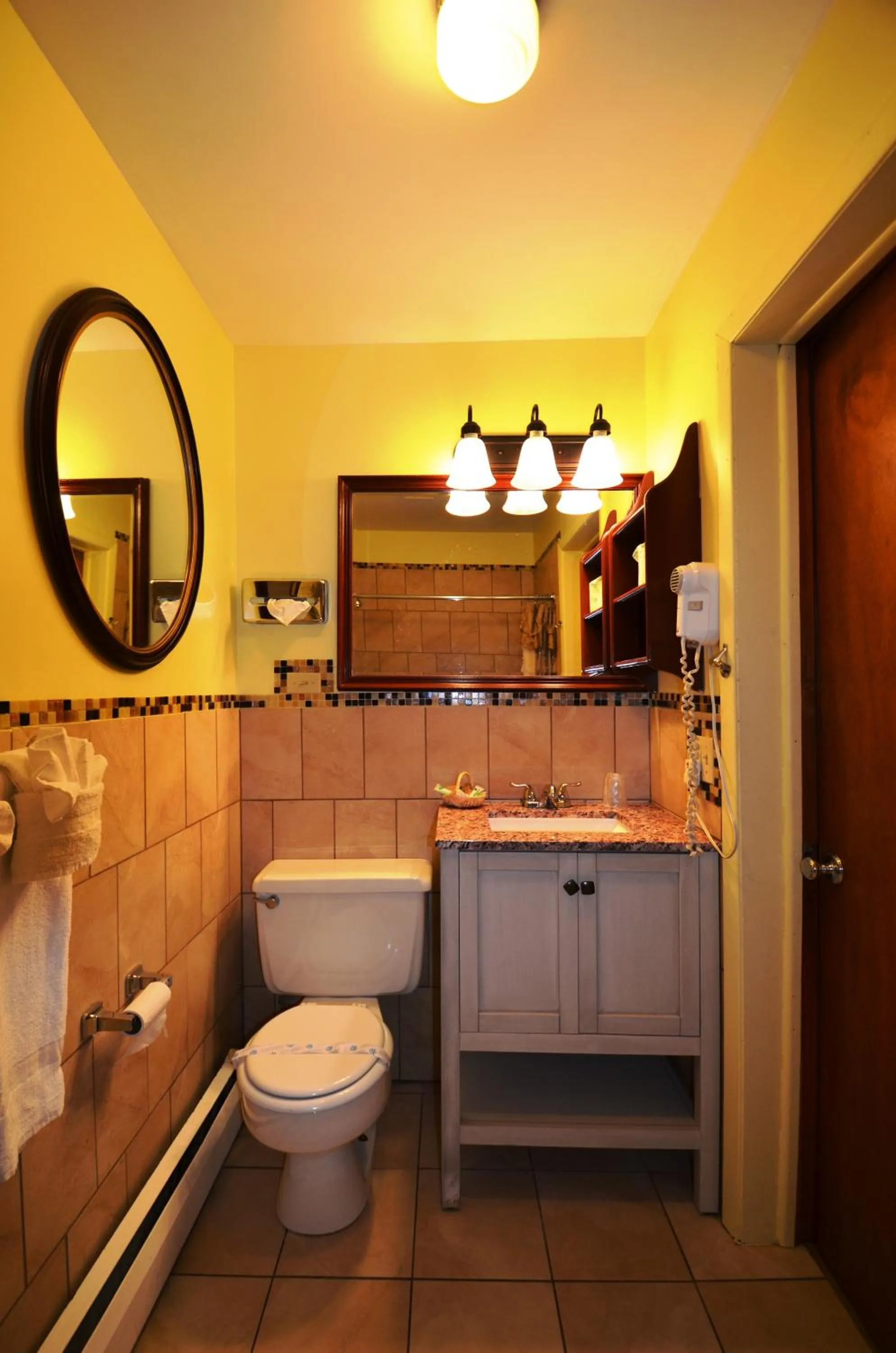 Toilet in Williamstown Motel