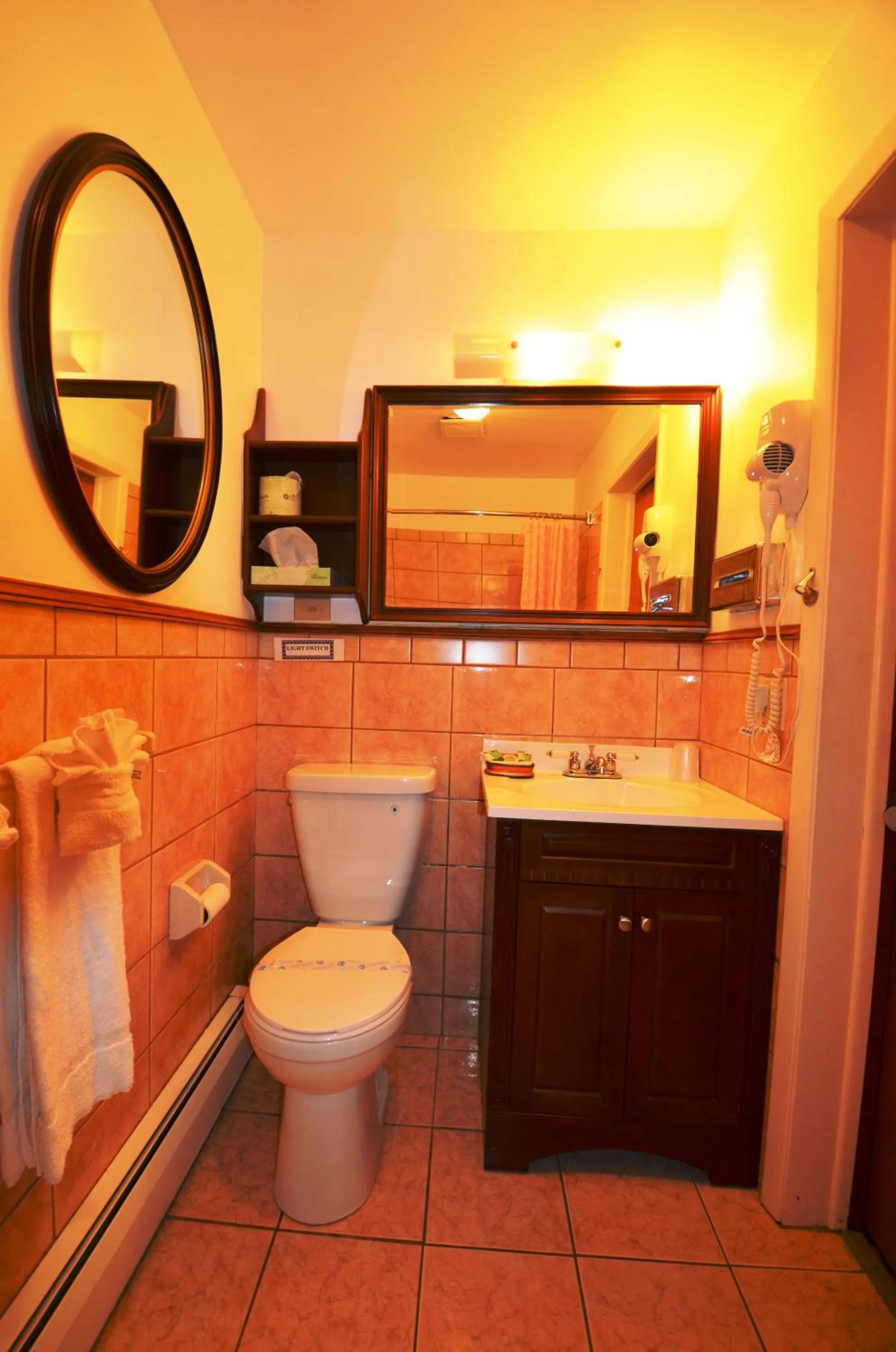 Shower in Williamstown Motel