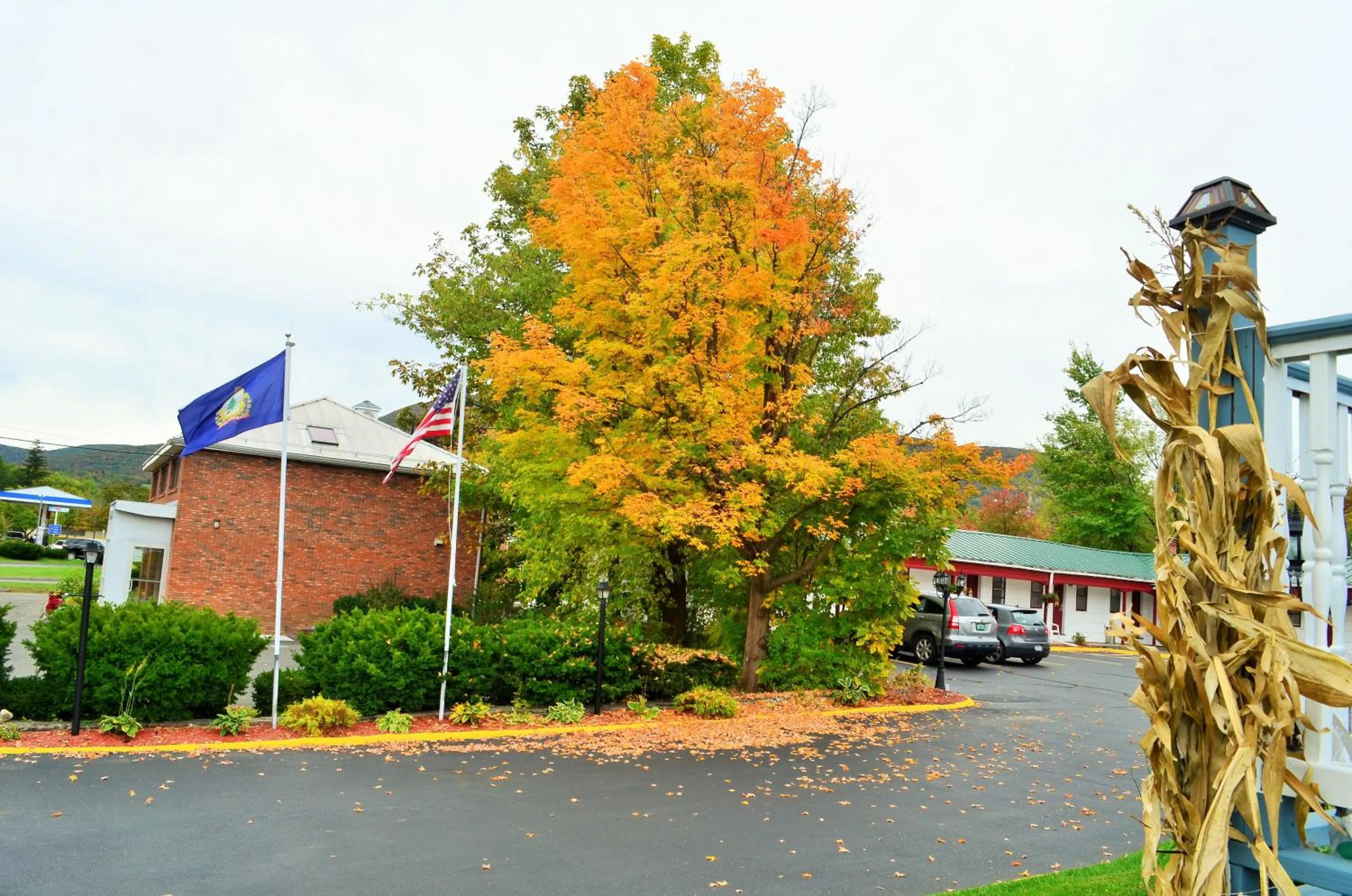 Autumn in Williamstown Motel