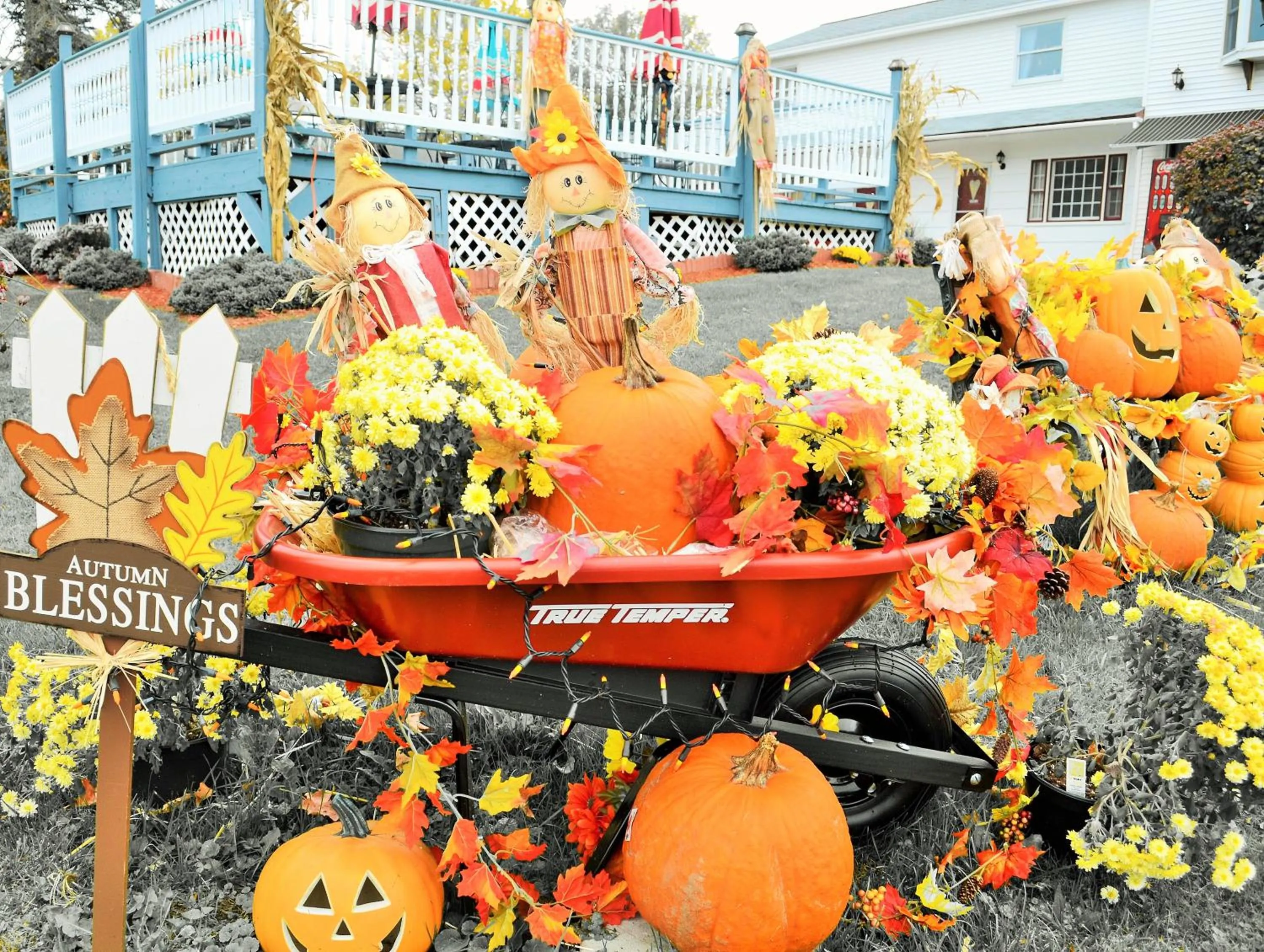 Decorative detail in Williamstown Motel