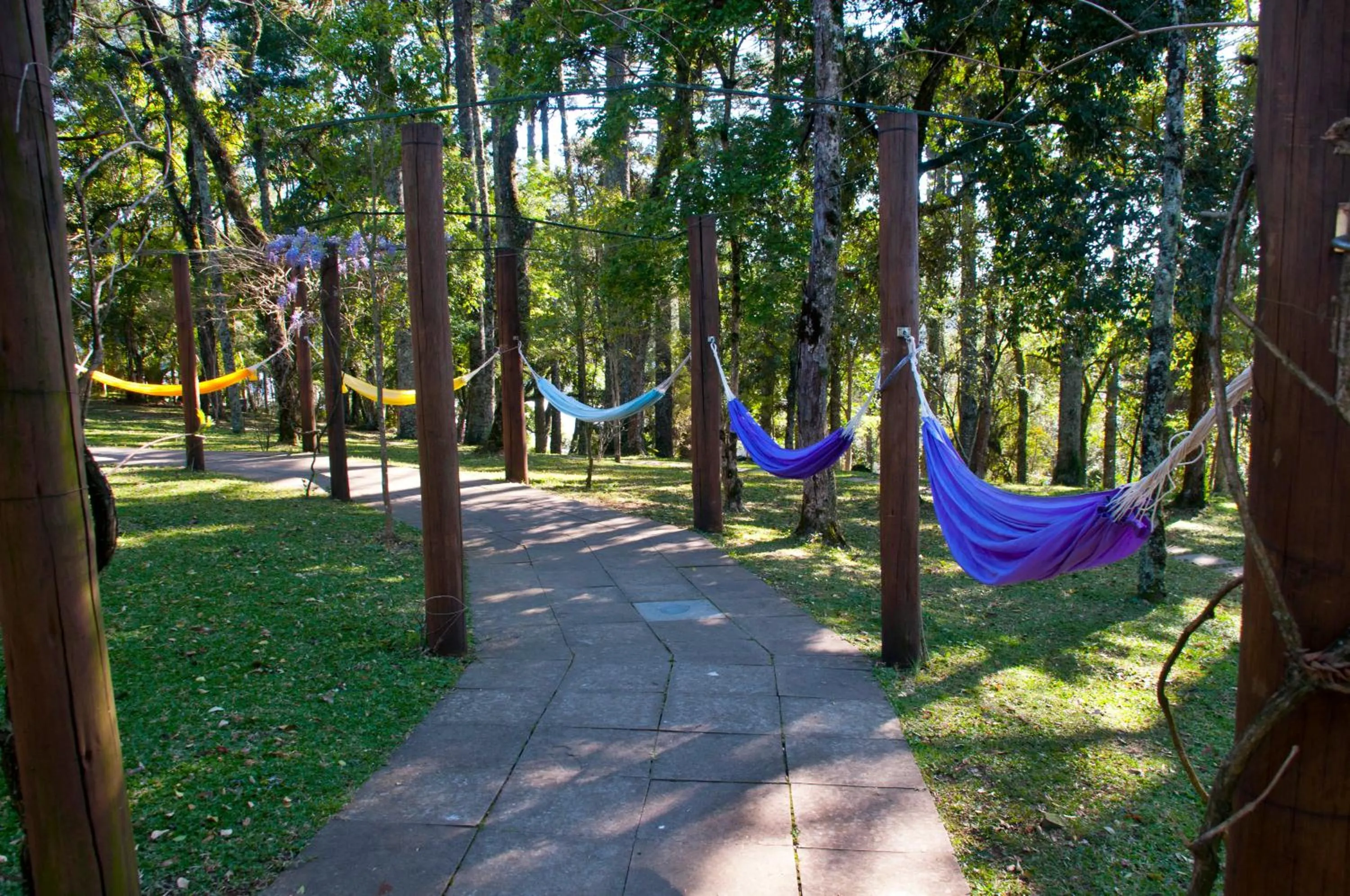 Natural landscape in Hotel Renar