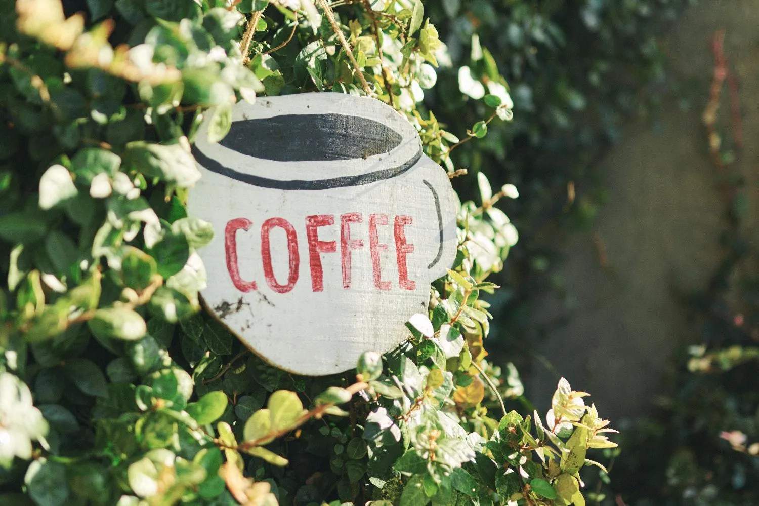 Property logo or sign in Gojo Guest House