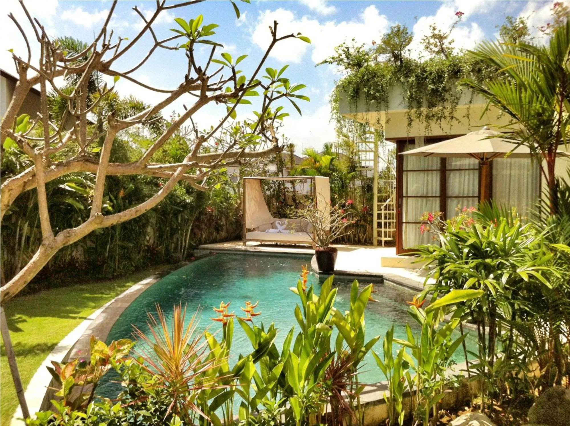 Swimming pool in Villa Sahaja