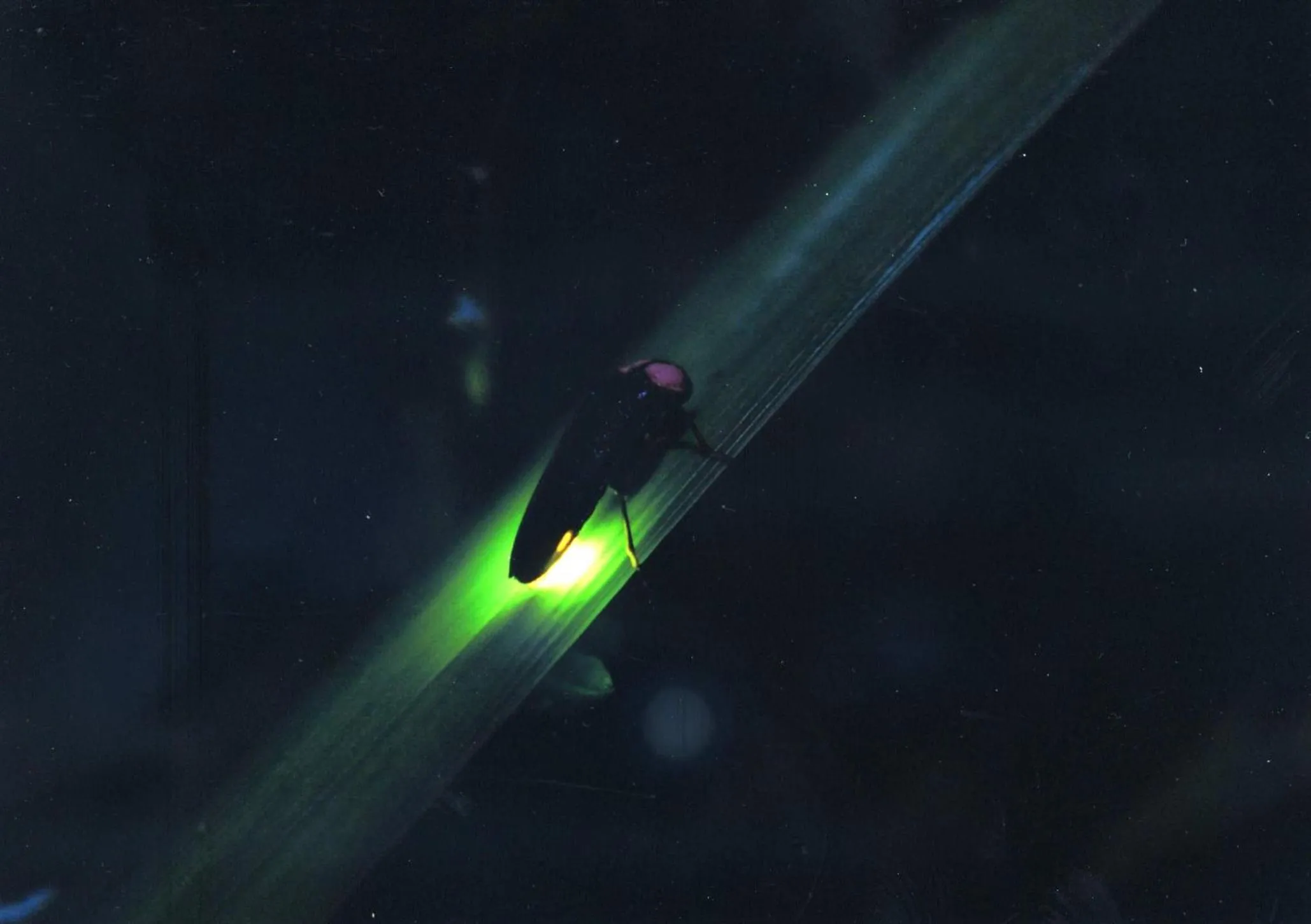 Natural landscape in Ichinomata Onsen Grand Hotel