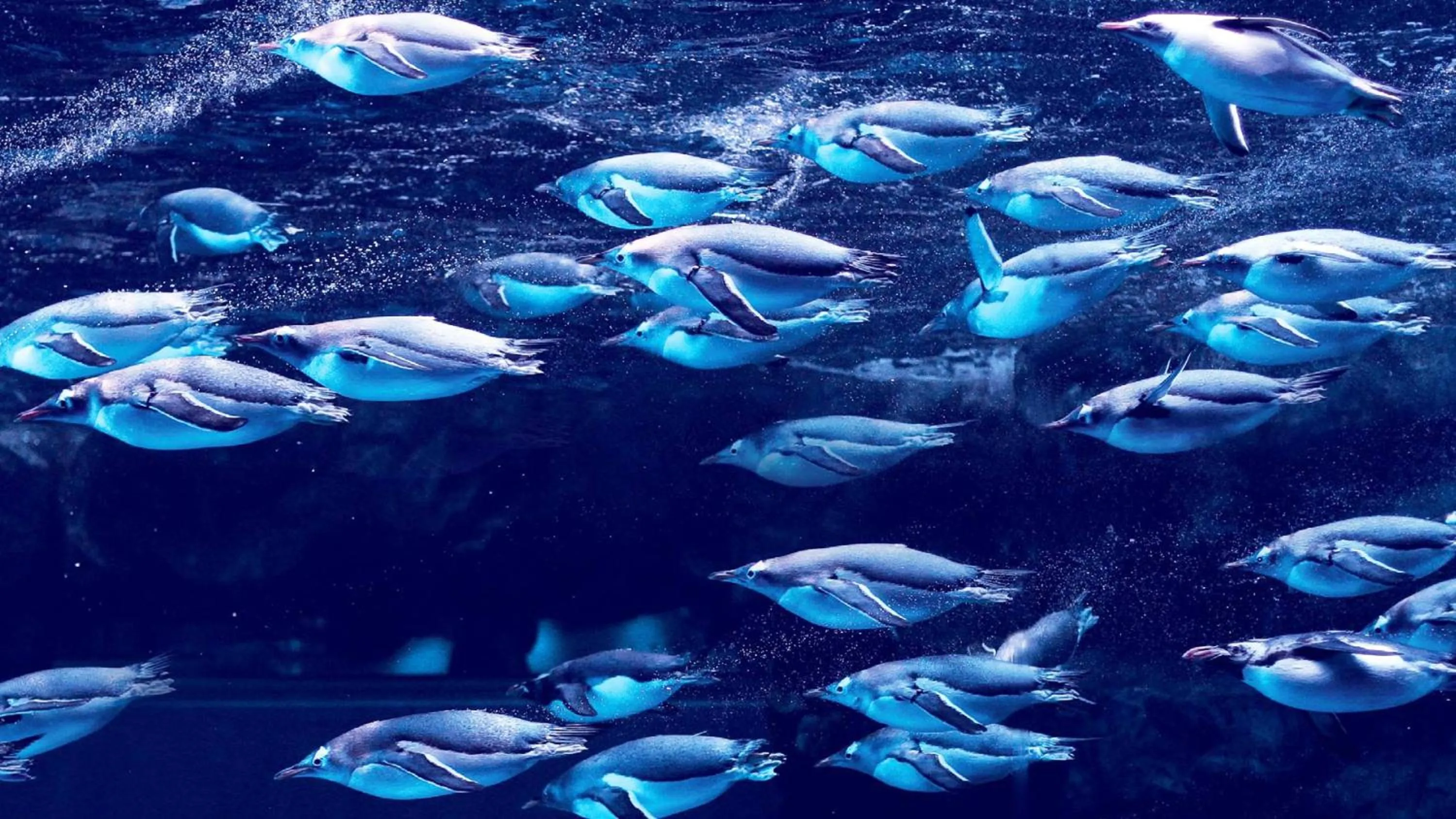 Nearby landmark in Ichinomata Onsen Grand Hotel