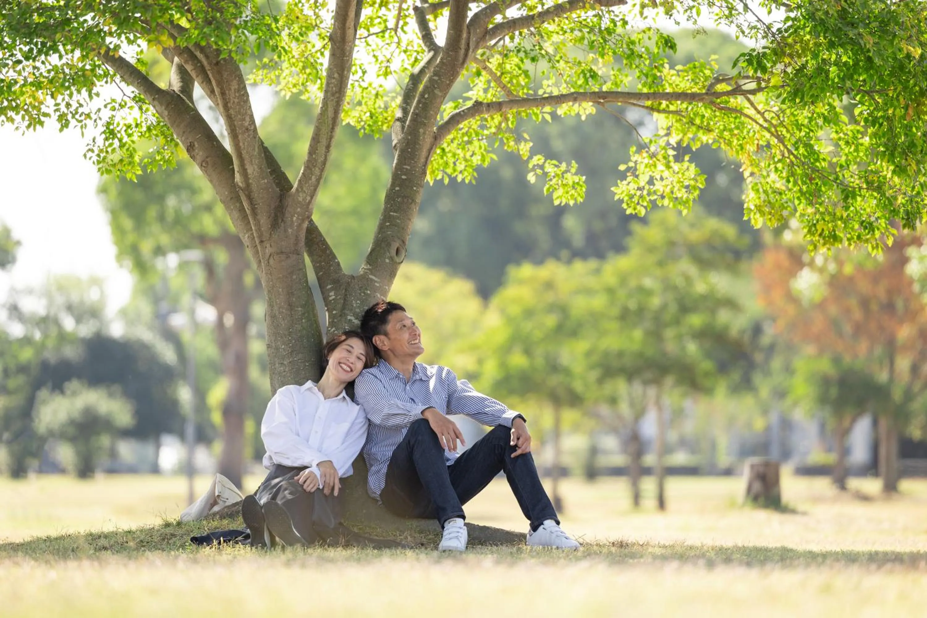 Chikugofunegoya Koen No Yado