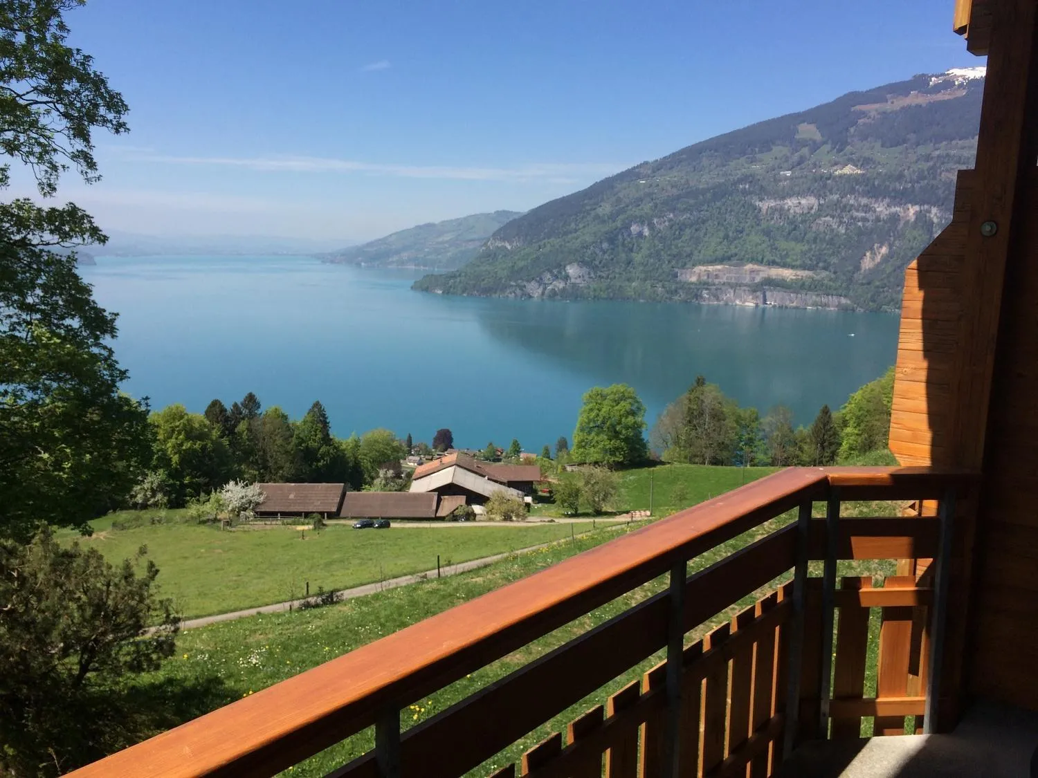 Double Room with Lake View in Hotel Meielisalp