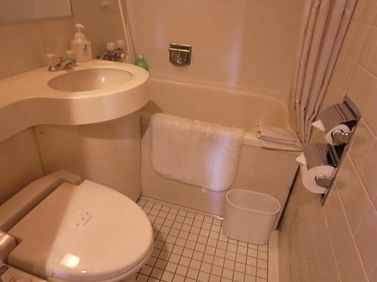 Toilet in Hotel Saginoyu