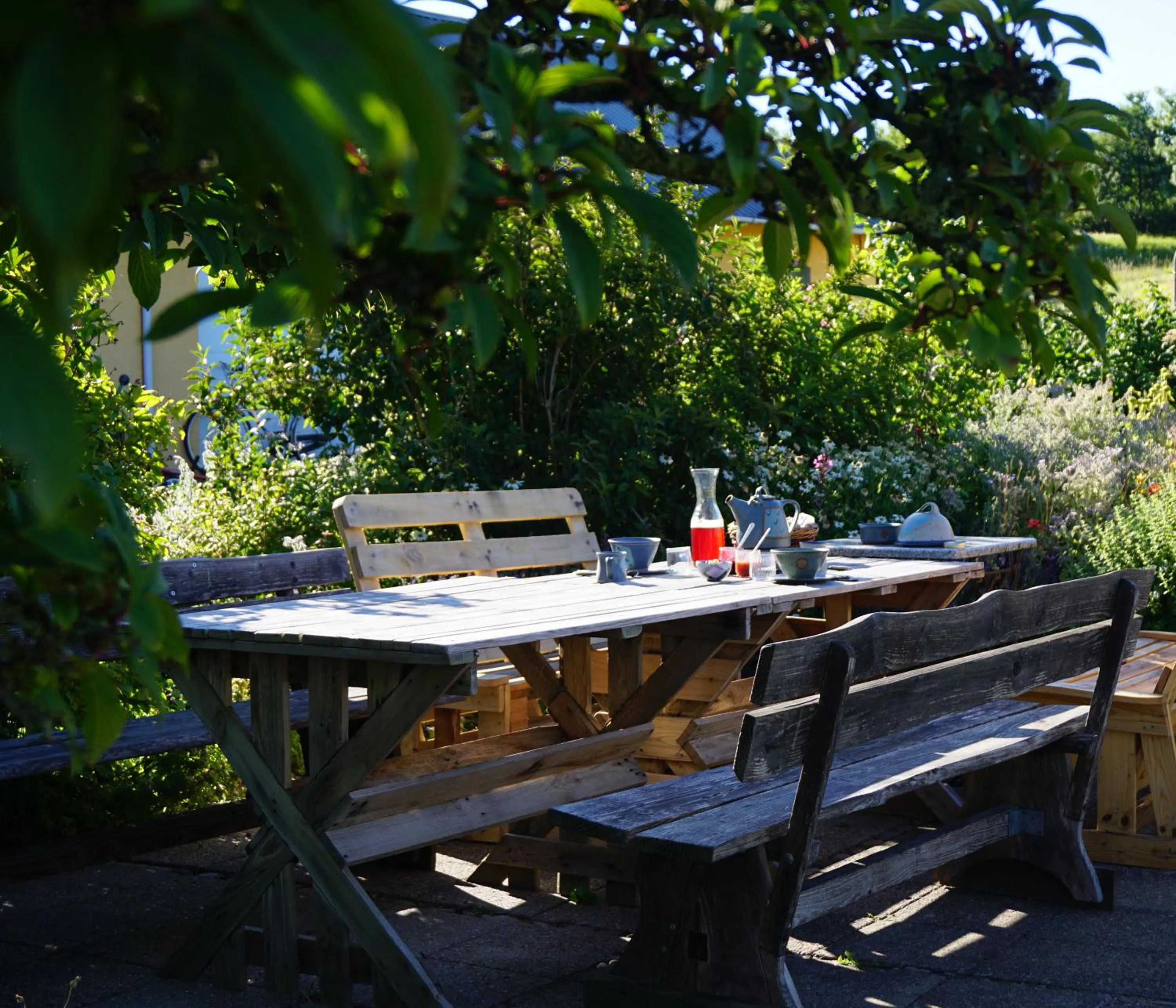 Garden in Møllehusets Bed & Breakfast