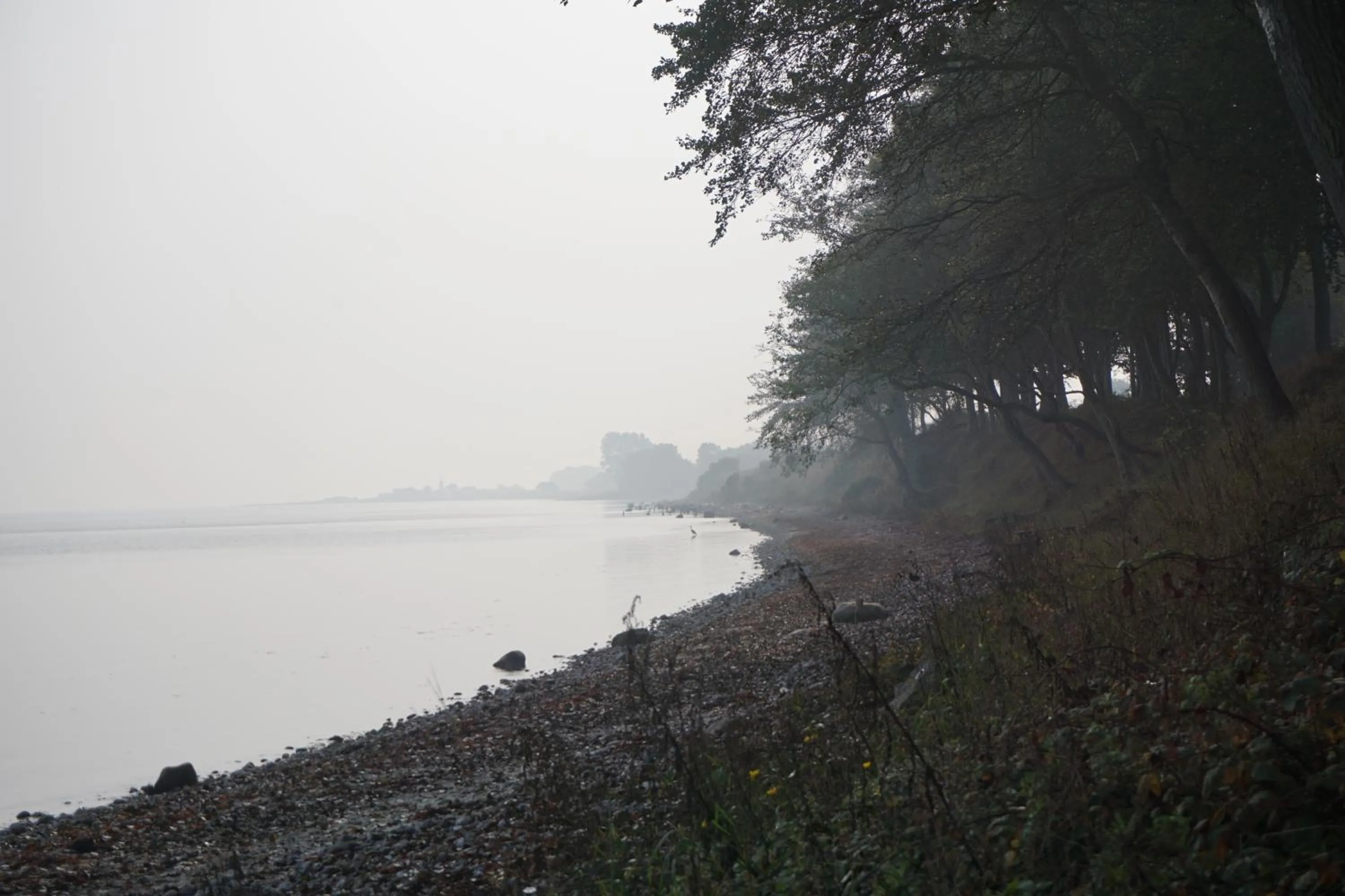 Beach in Møllehusets Bed & Breakfast