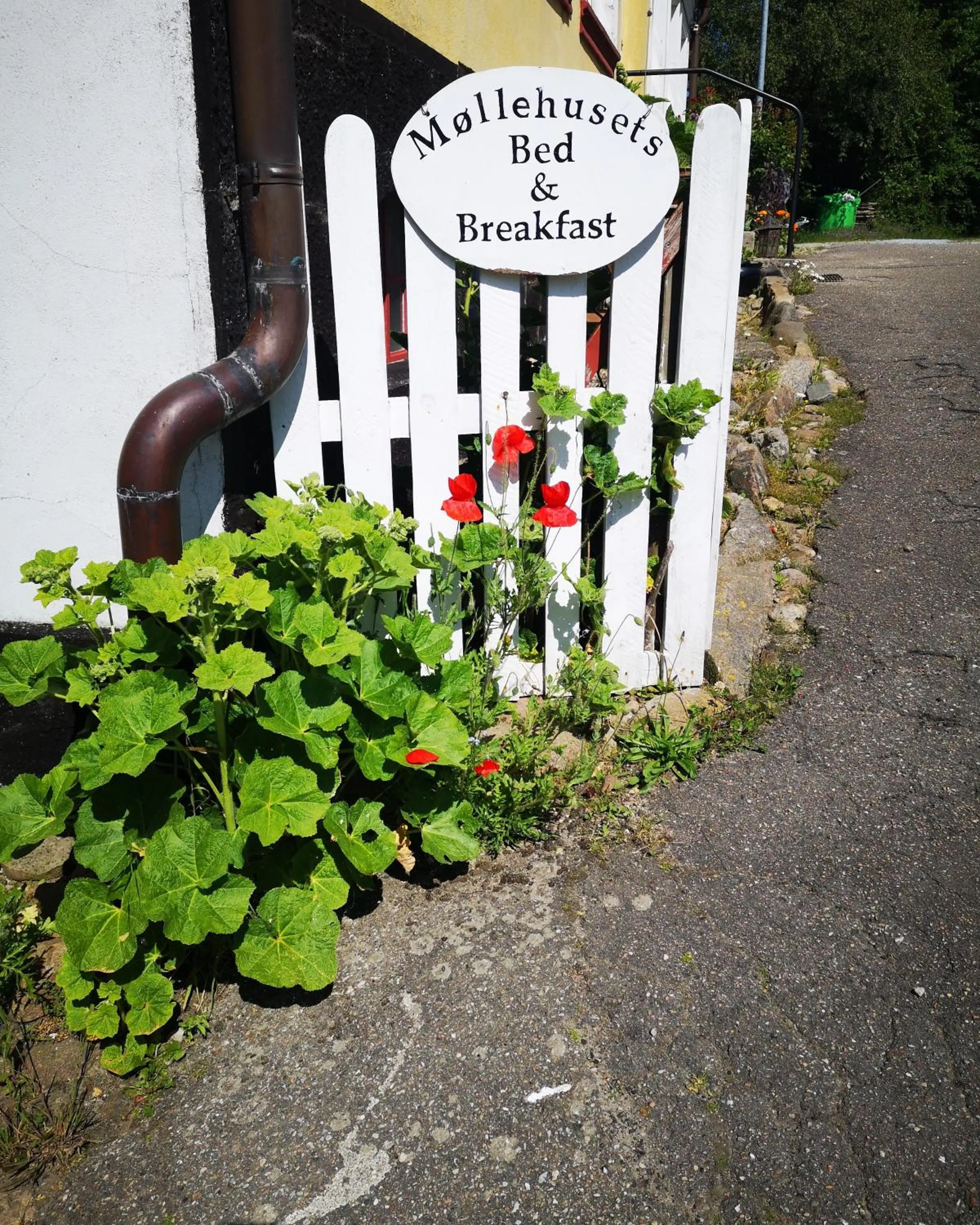 Property logo or sign in Møllehusets Bed & Breakfast