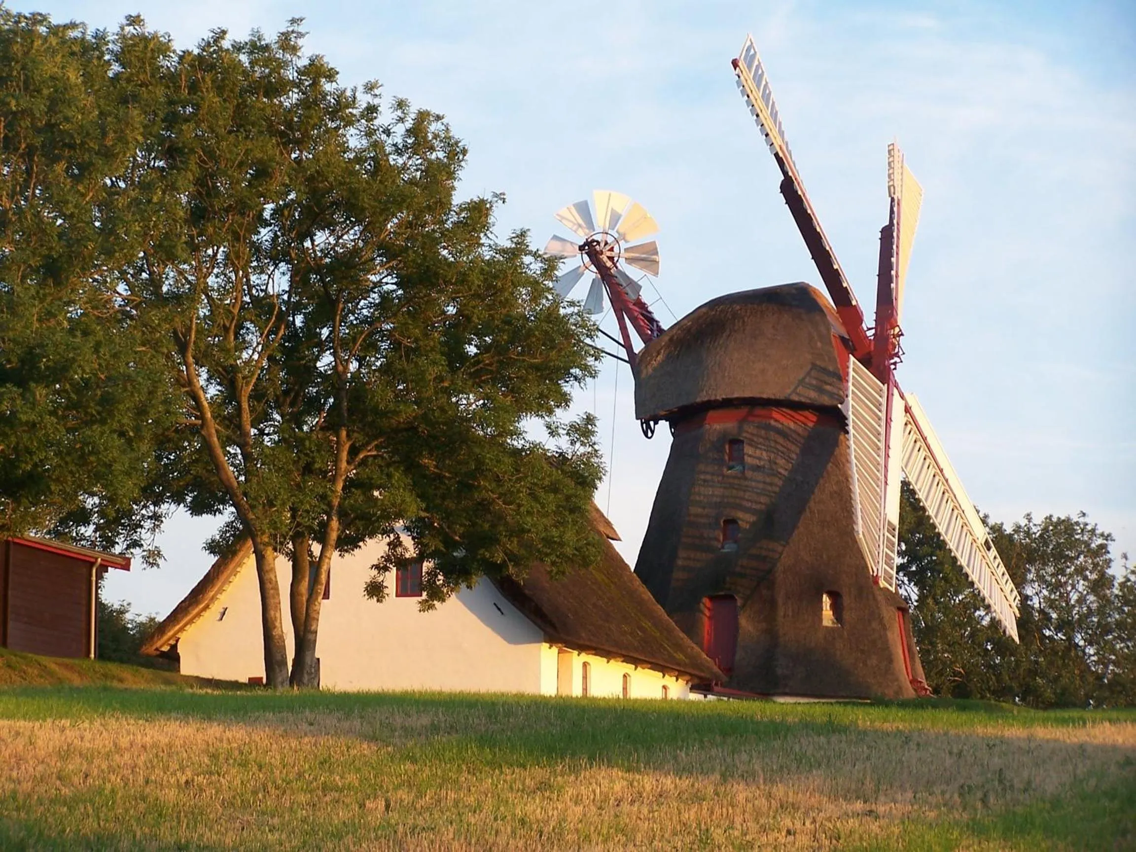 Area and facilities in Møllehusets Bed & Breakfast