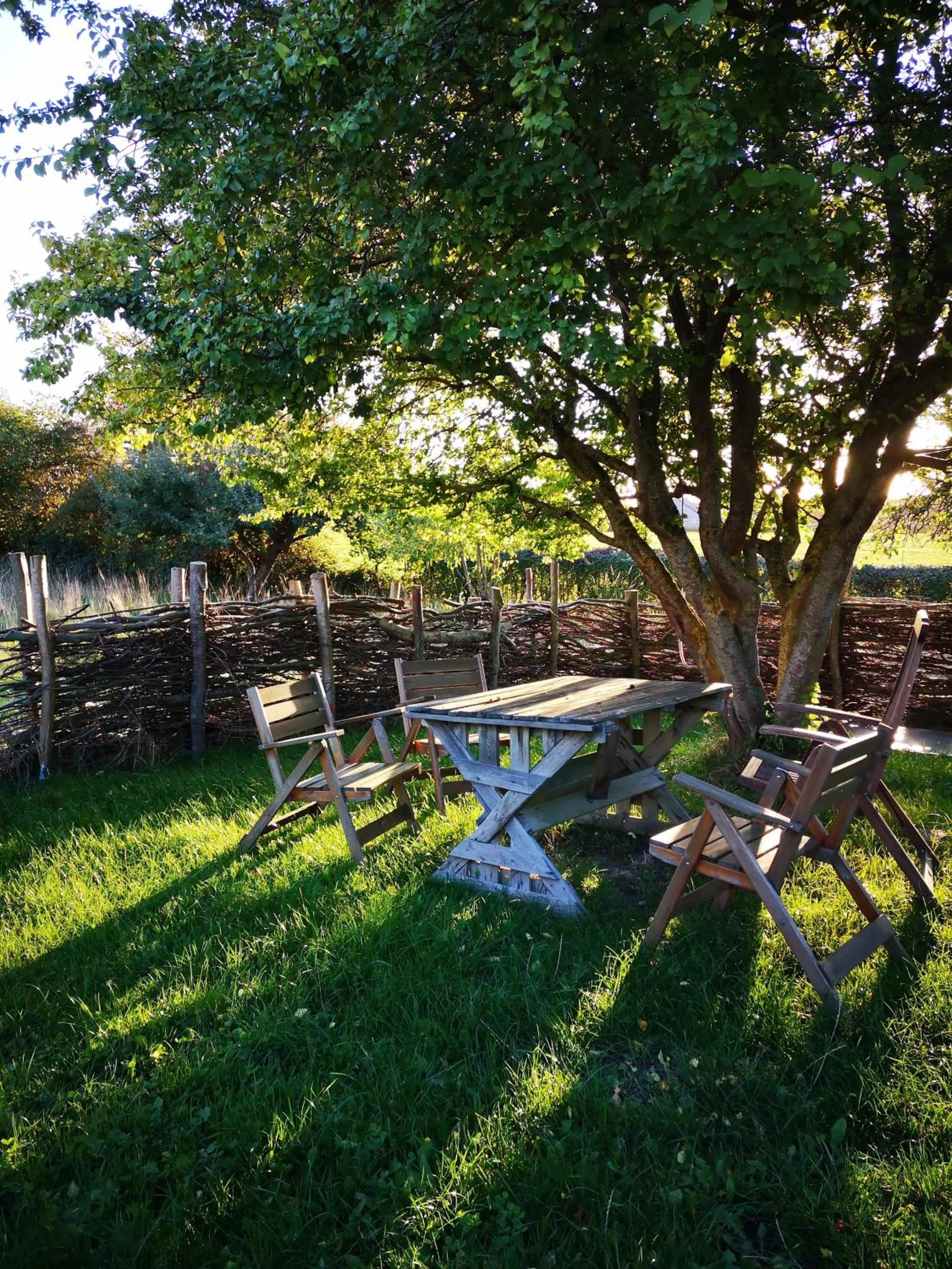 Garden in Møllehusets Bed & Breakfast