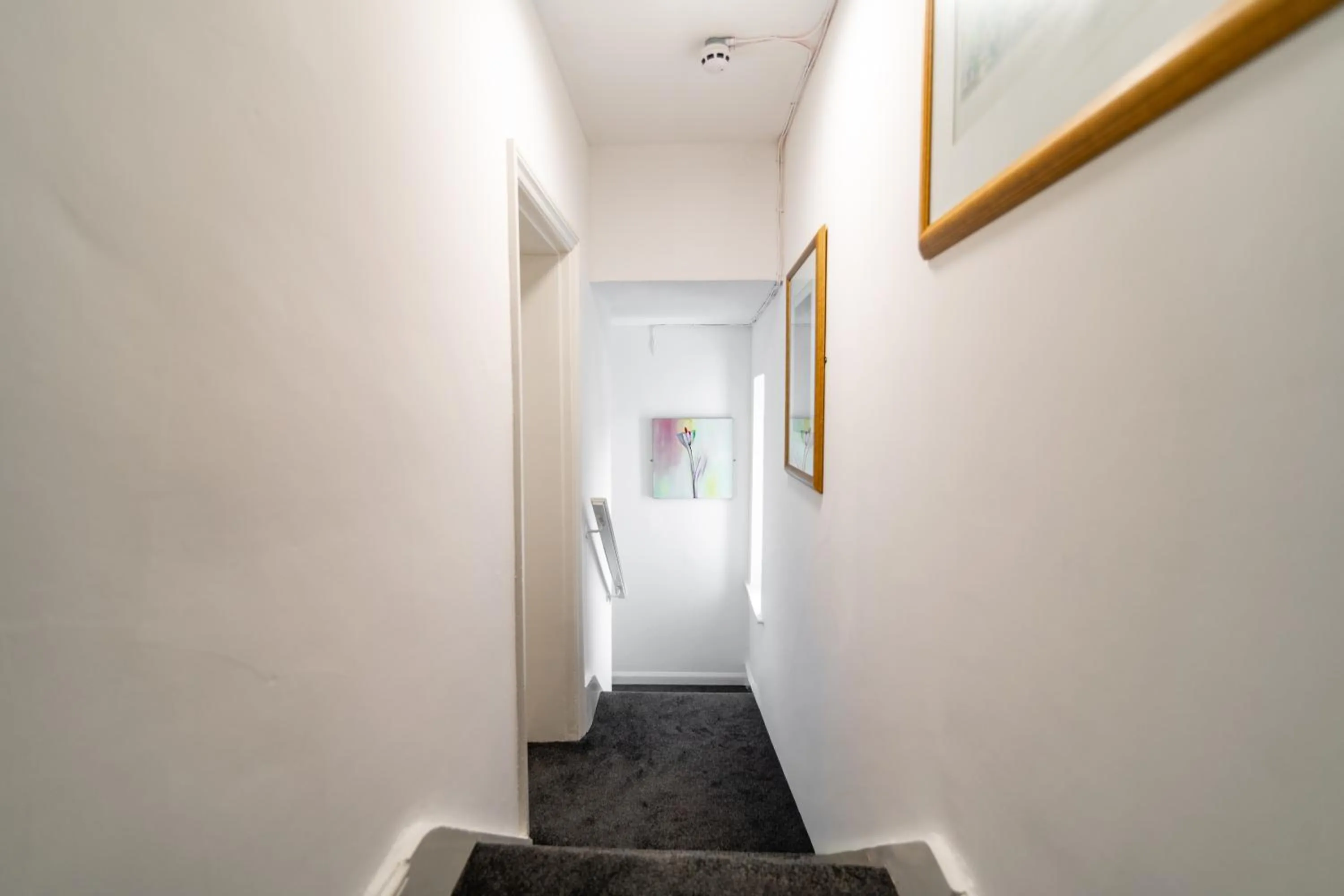 Pets in The Southcliff Hotel