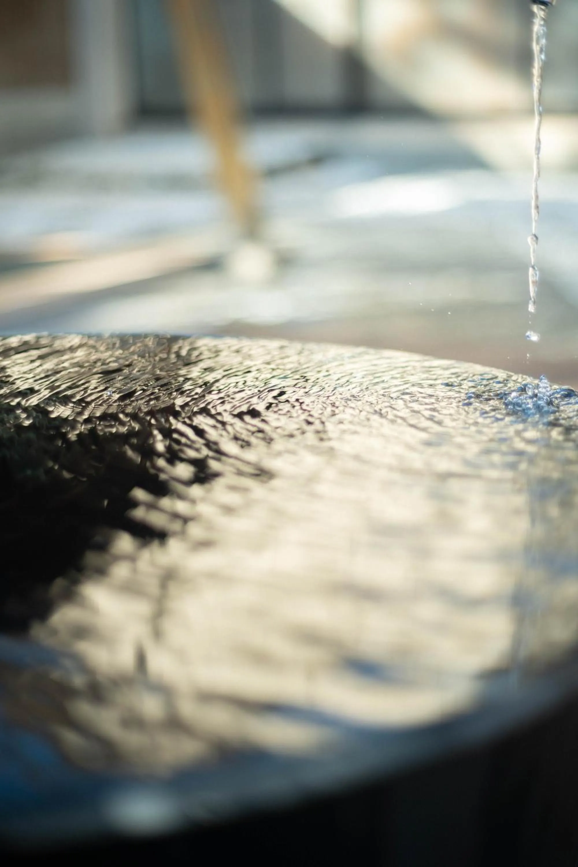 Hot Spring Bath in Hotel Goryukan