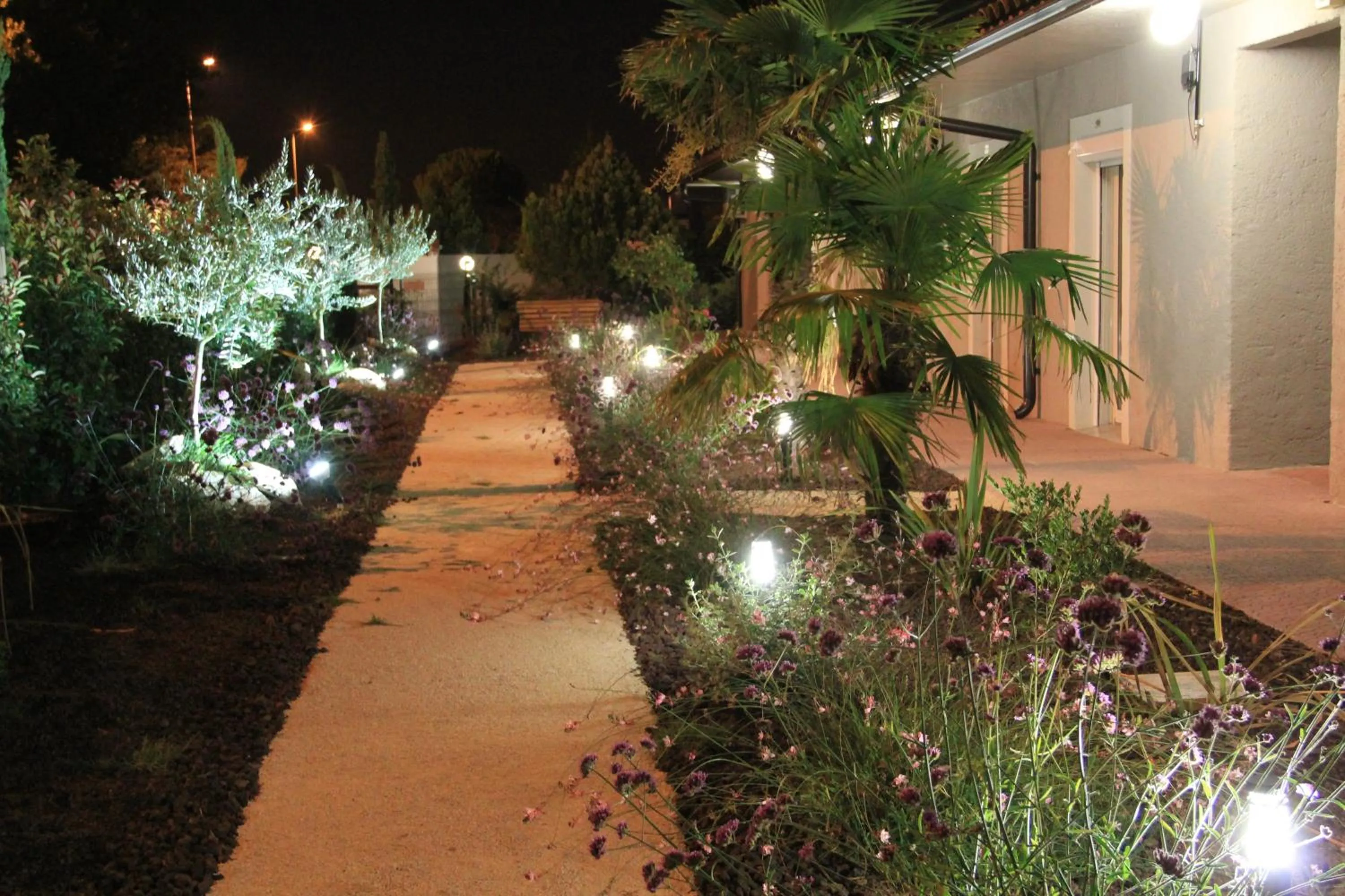 Garden in Hôtel Saint Louis