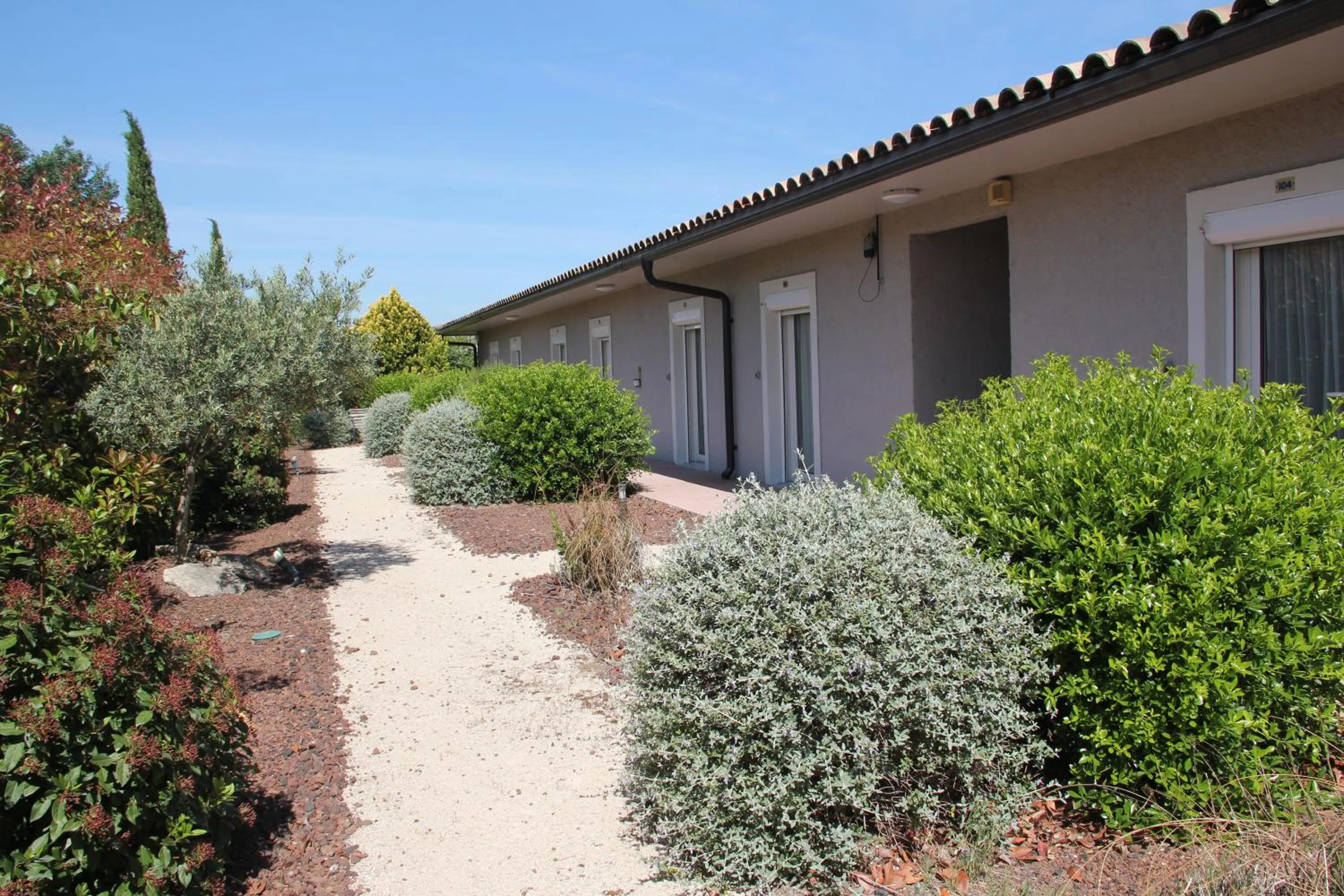 Garden in Hôtel Saint Louis