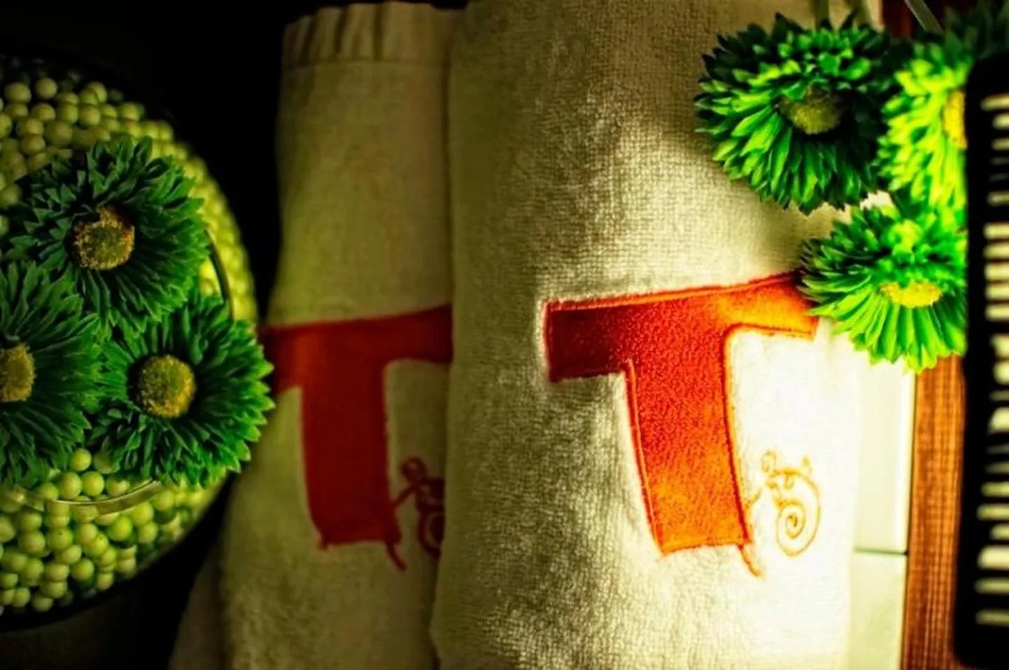 Decorative detail in T Hotel Tandop