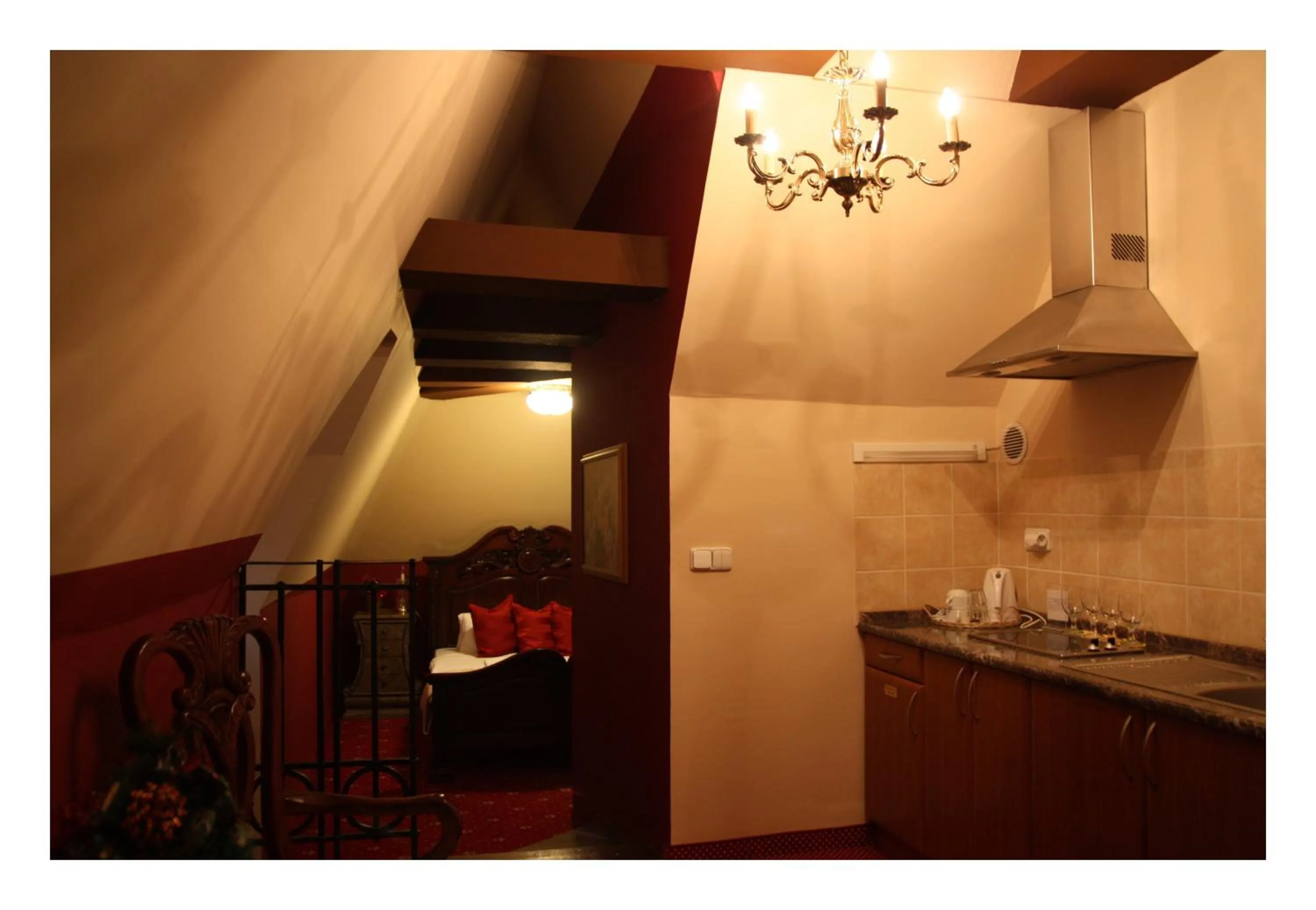 Kitchen or kitchenette in Prague Golden Age