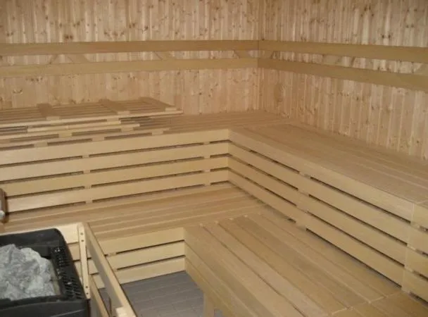 Sauna in Hotel Dakol