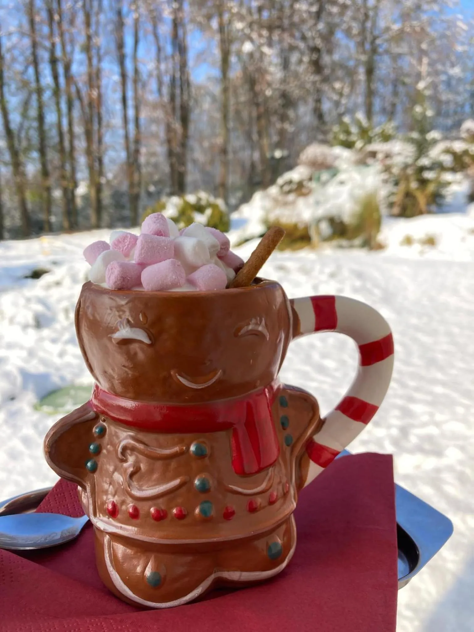 Restaurant/places to eat in Hotel Dakol