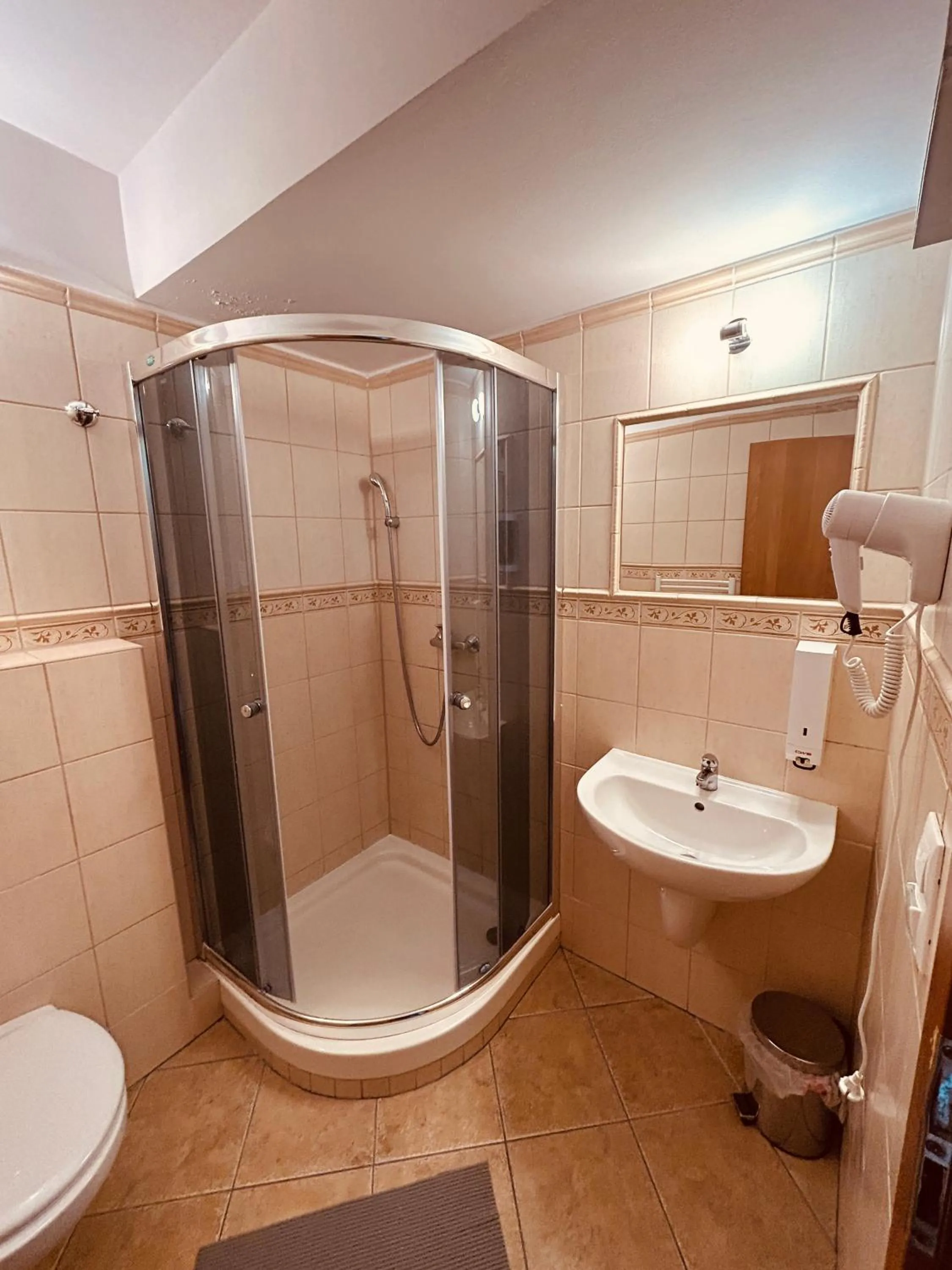 Shower in Rusovský Penzión