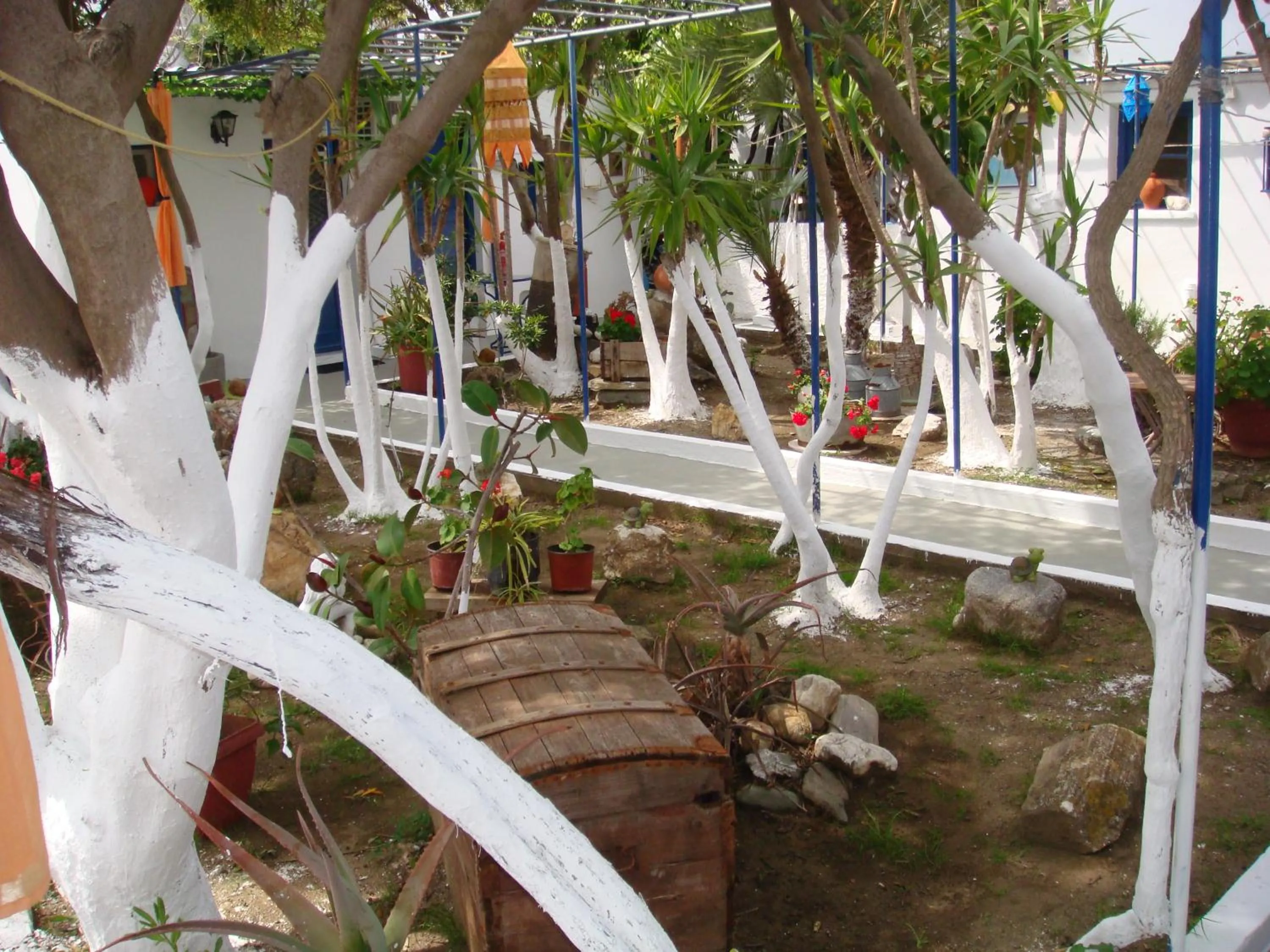 Spring in Boussetil Rooms CapAnMat