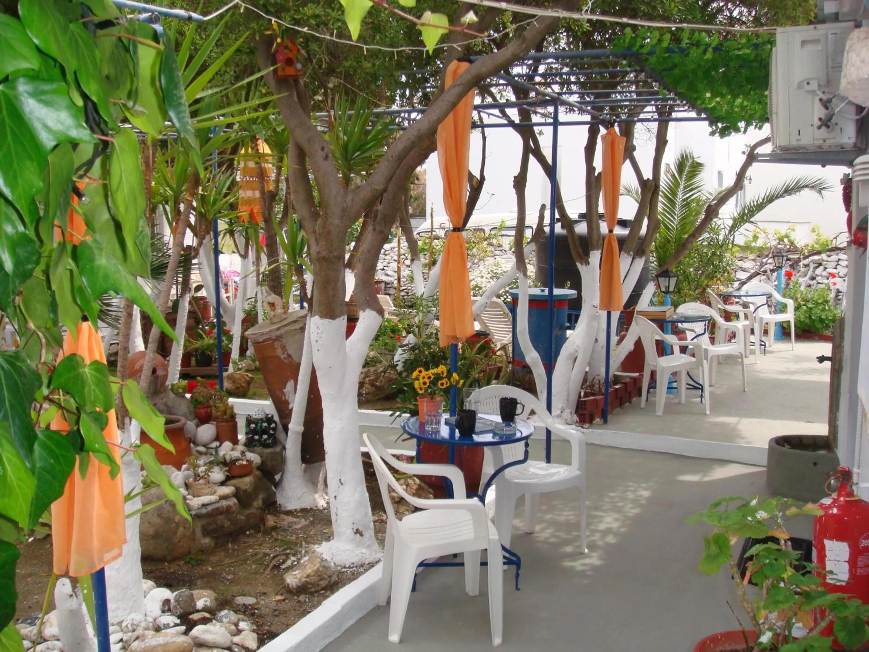 Decorative detail in Boussetil Rooms CapAnMat