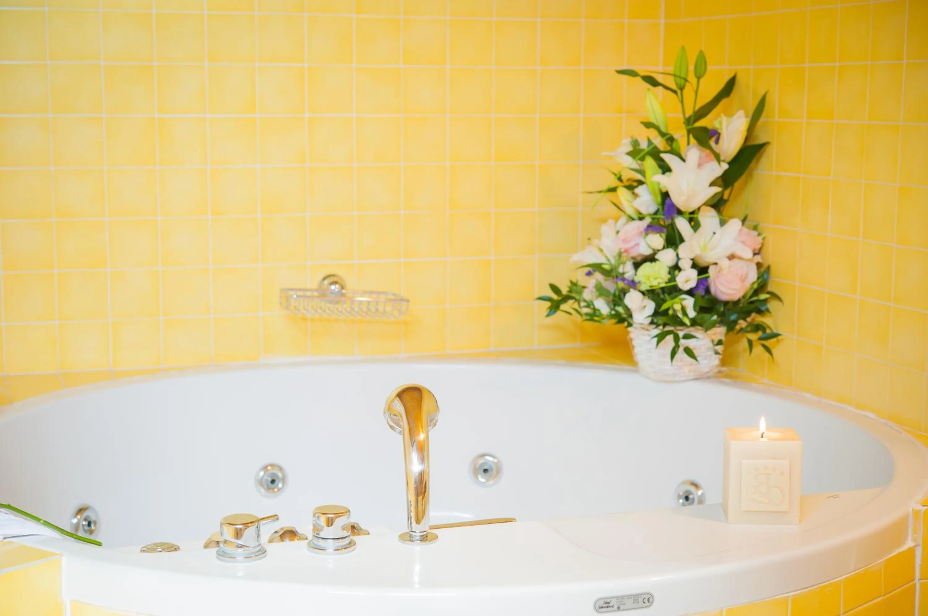 Hot Tub in Relais Ducale Spa & Pool