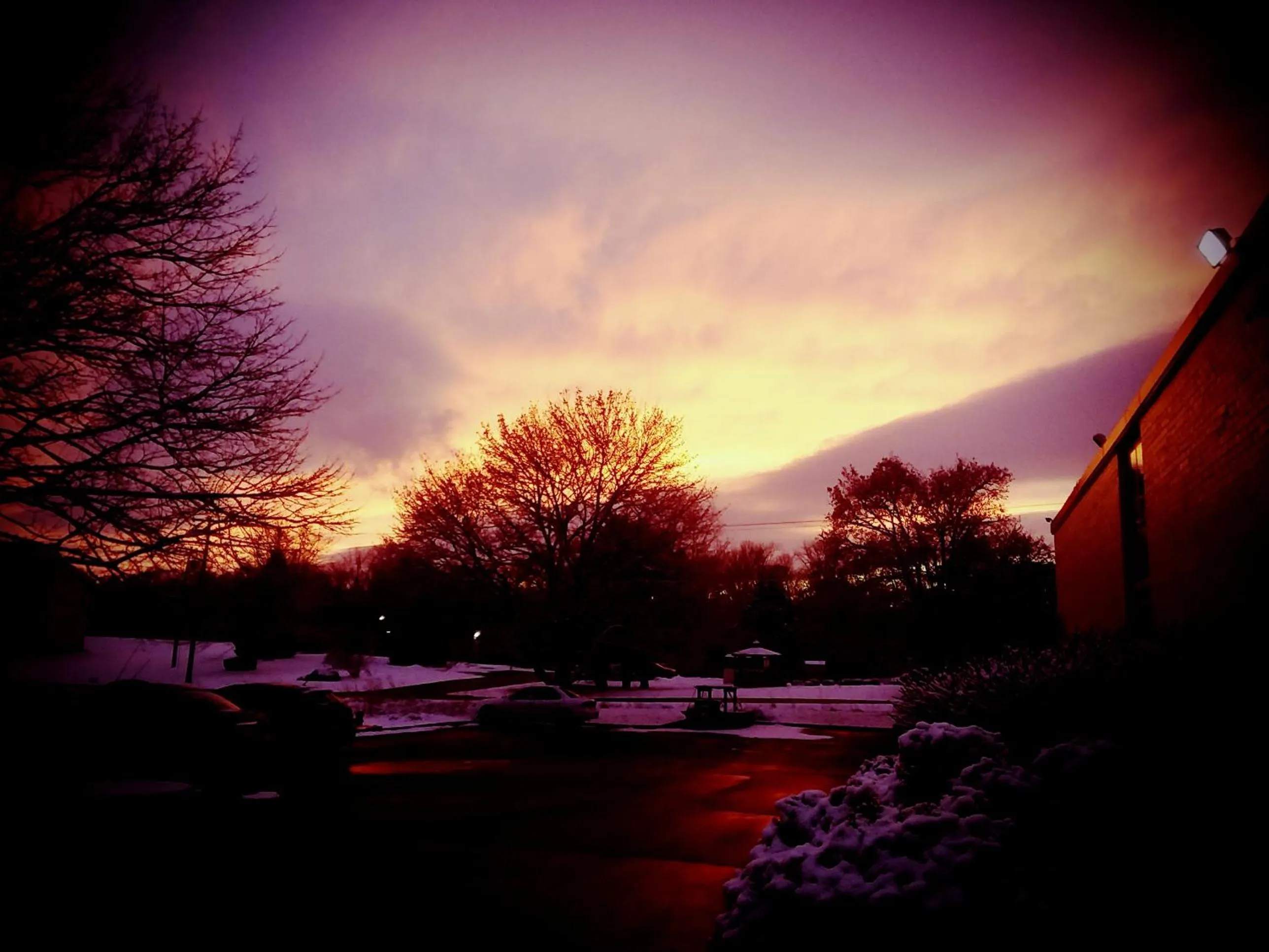 Natural landscape in APM Inn & Suites