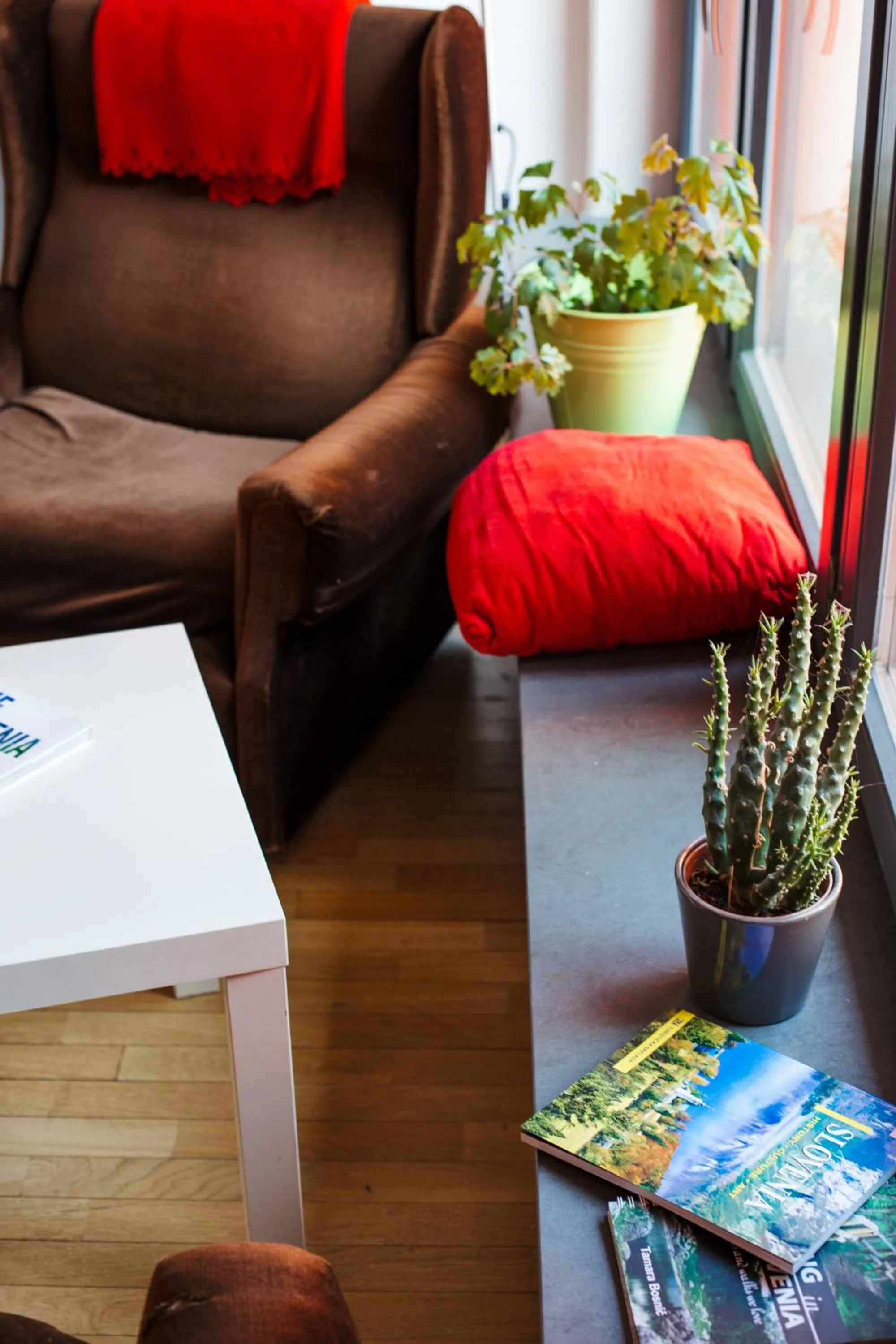 Activities in Cukrarna Guest Accommodation