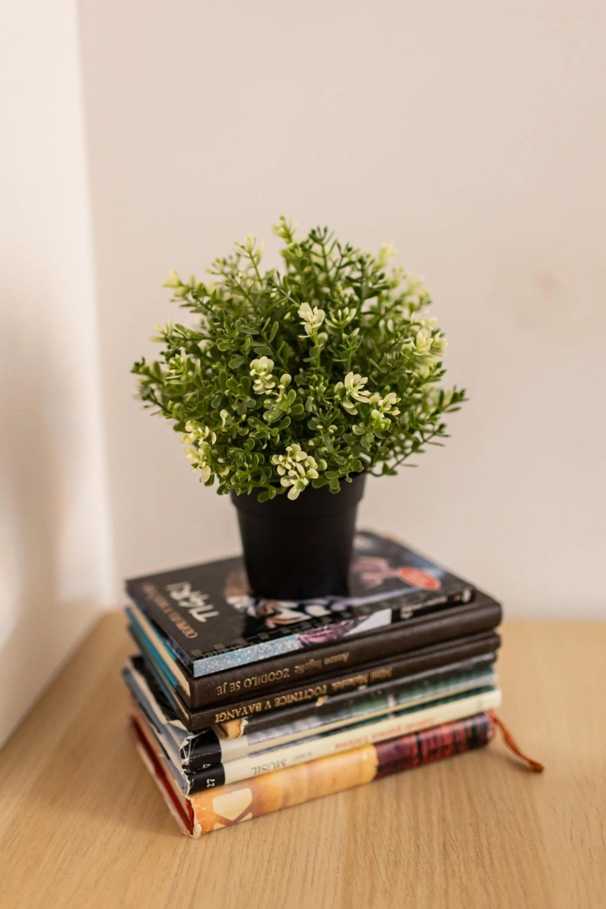 Property building in Cukrarna Guest Accommodation