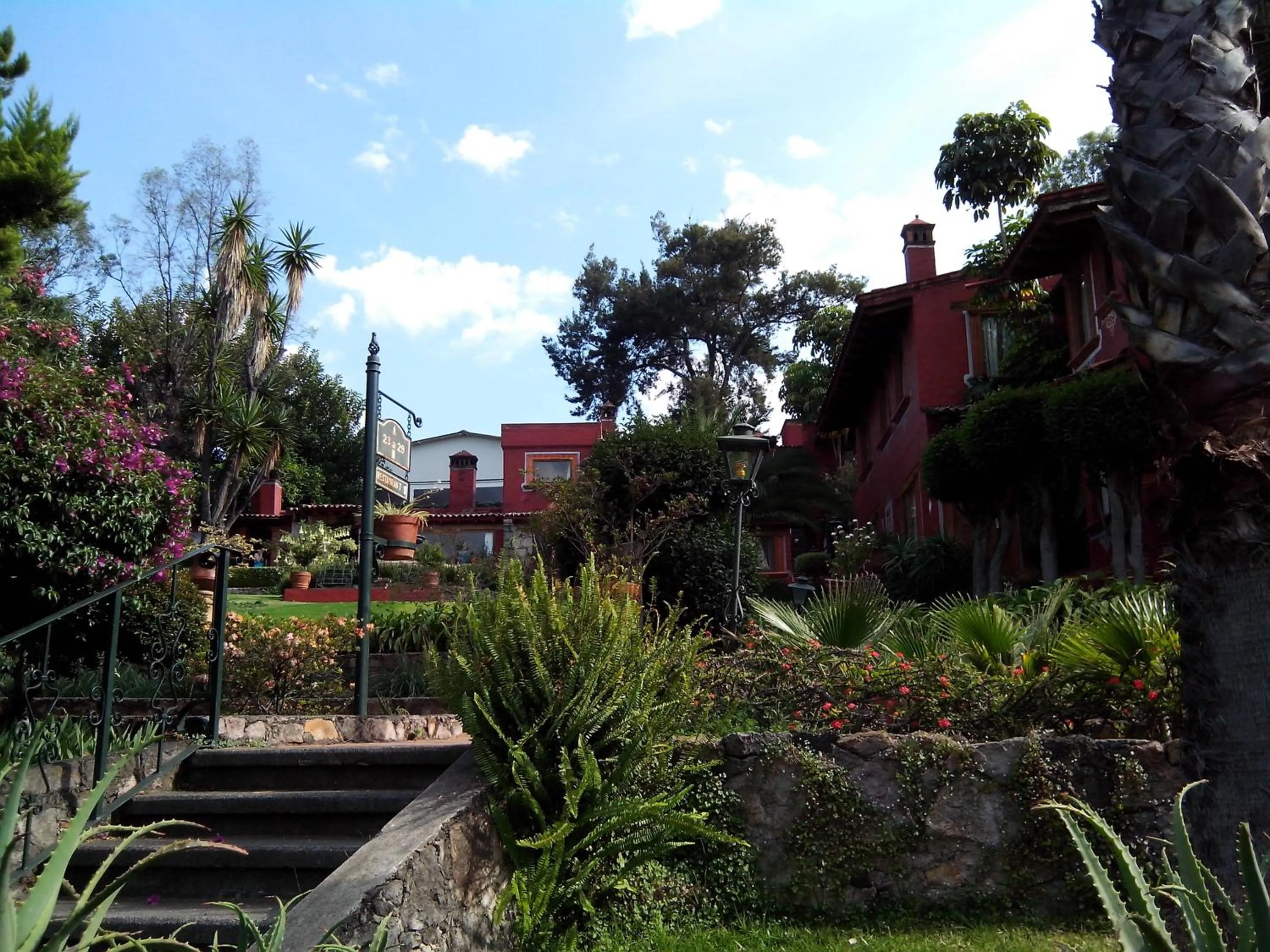 Garden in Villa San Jose Hotel & Suites