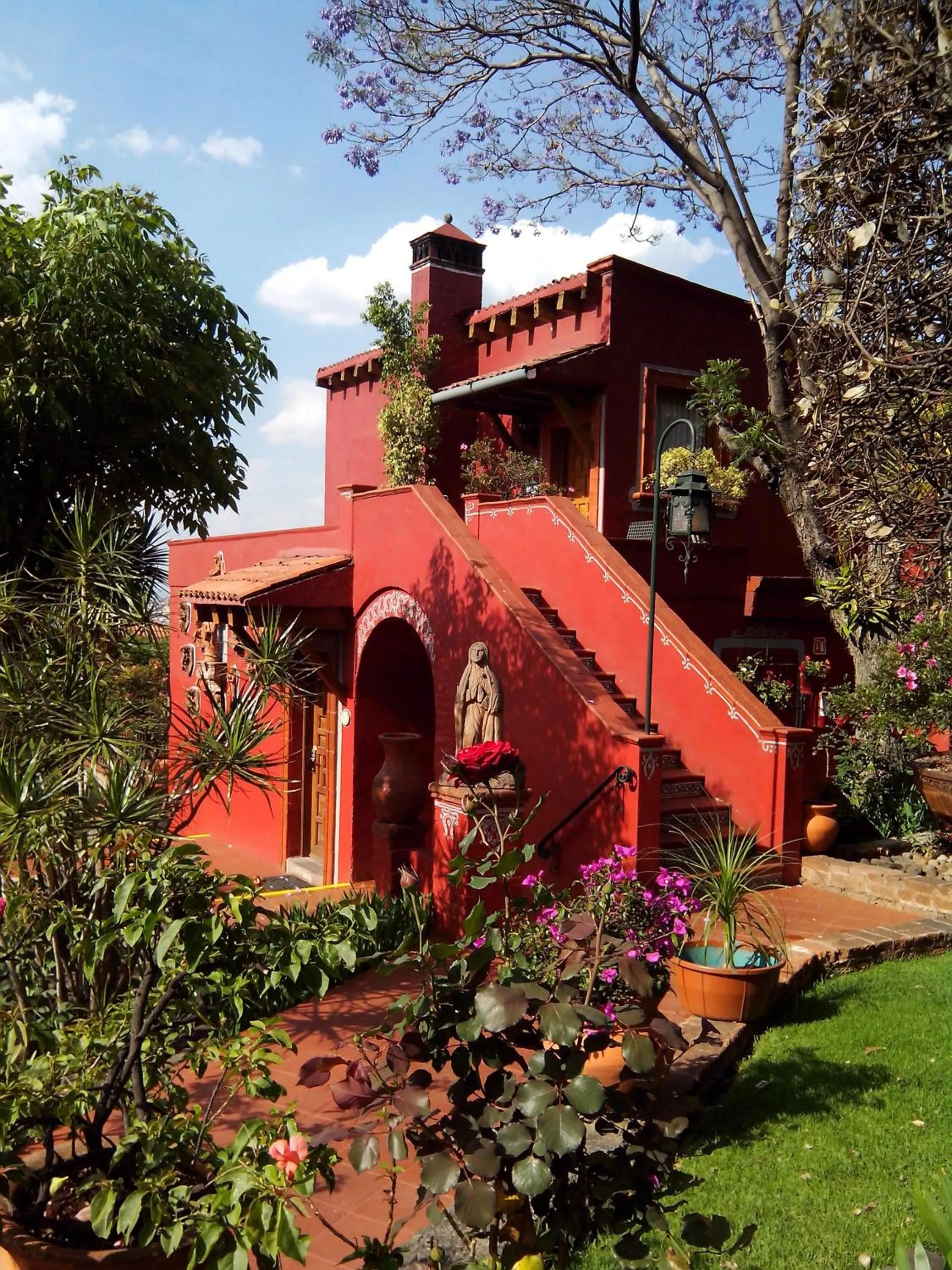 Garden in Villa San Jose Hotel & Suites