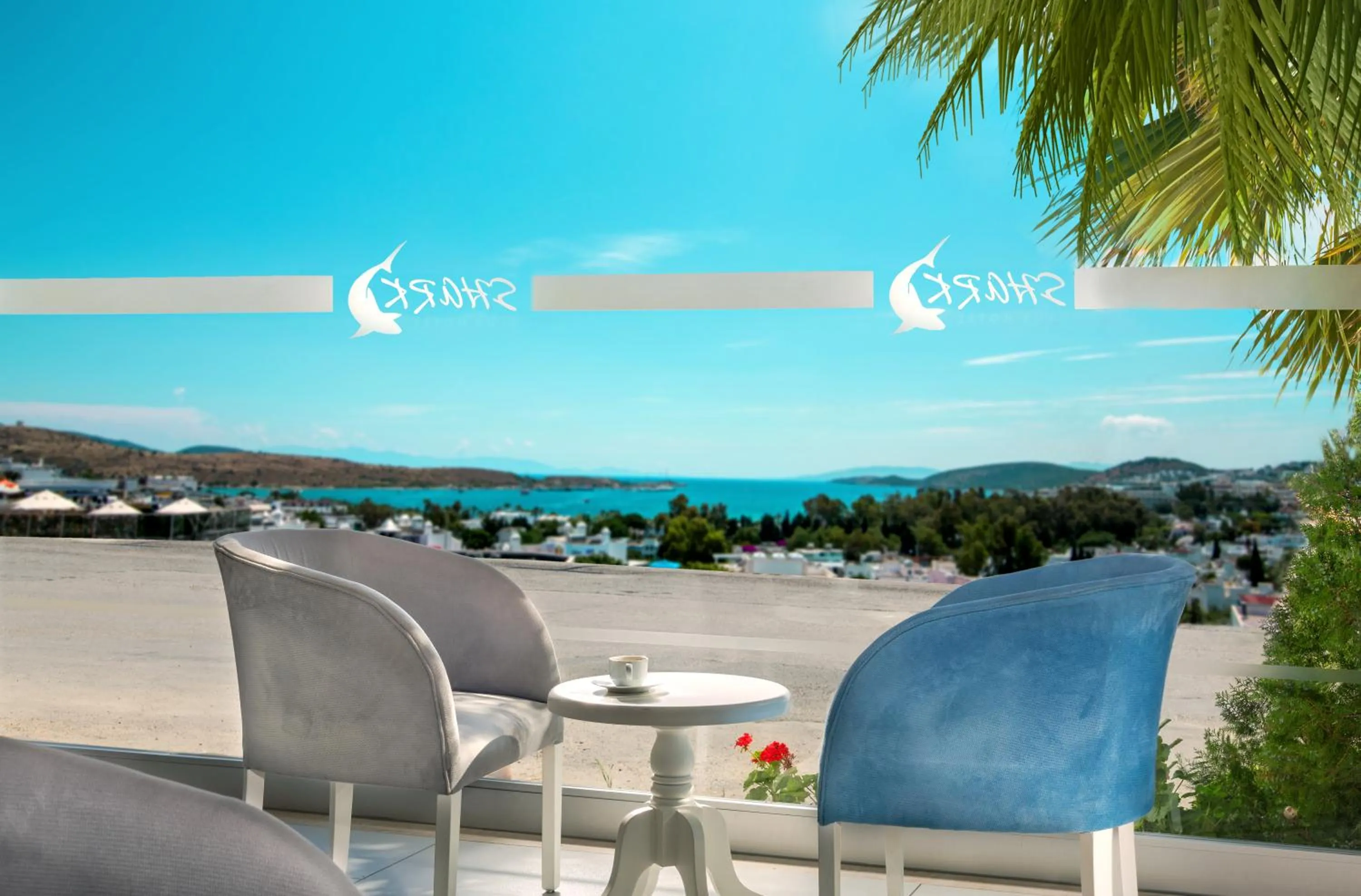 Lounge or bar in Club Shark Hotel