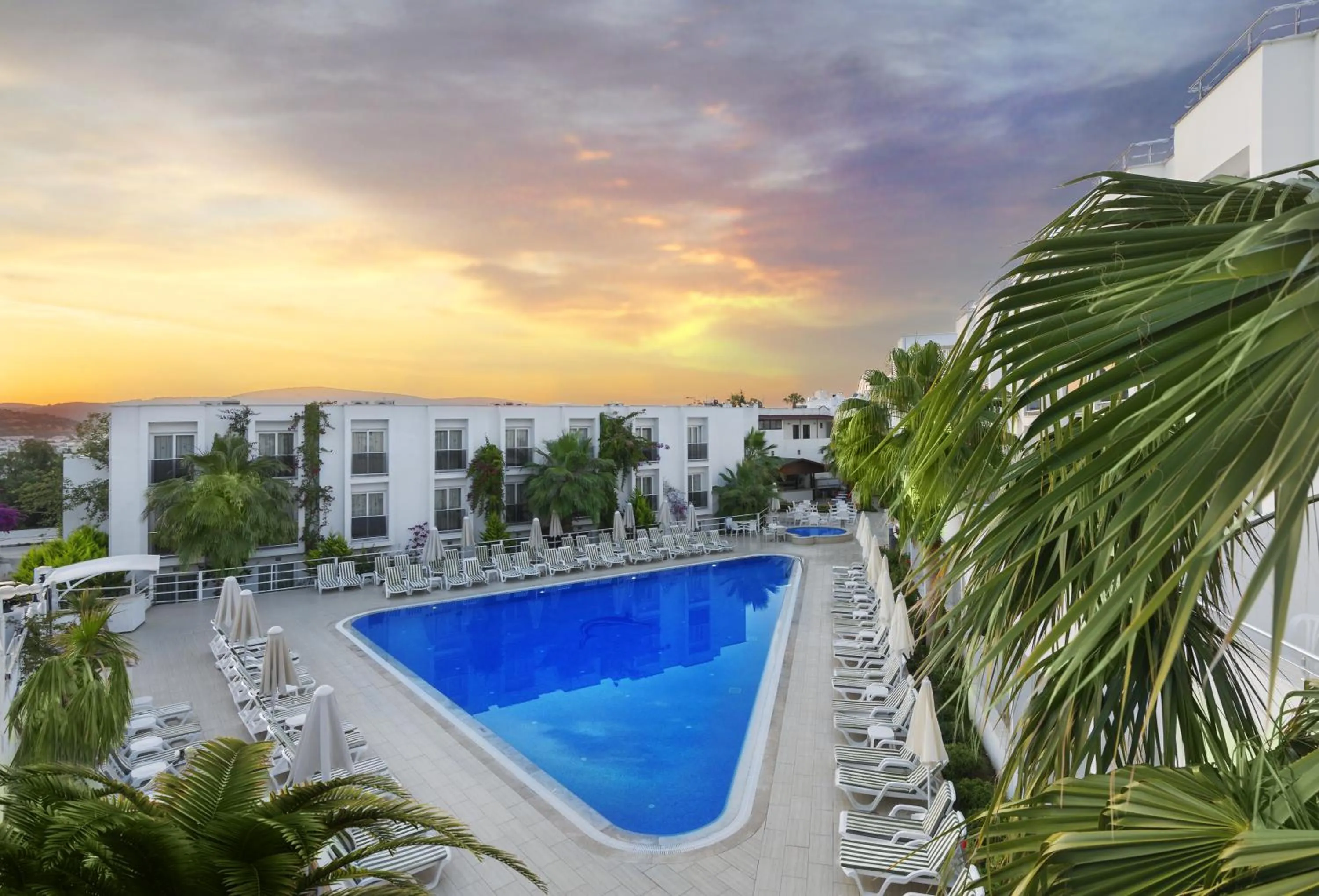 Swimming pool in Club Shark Hotel