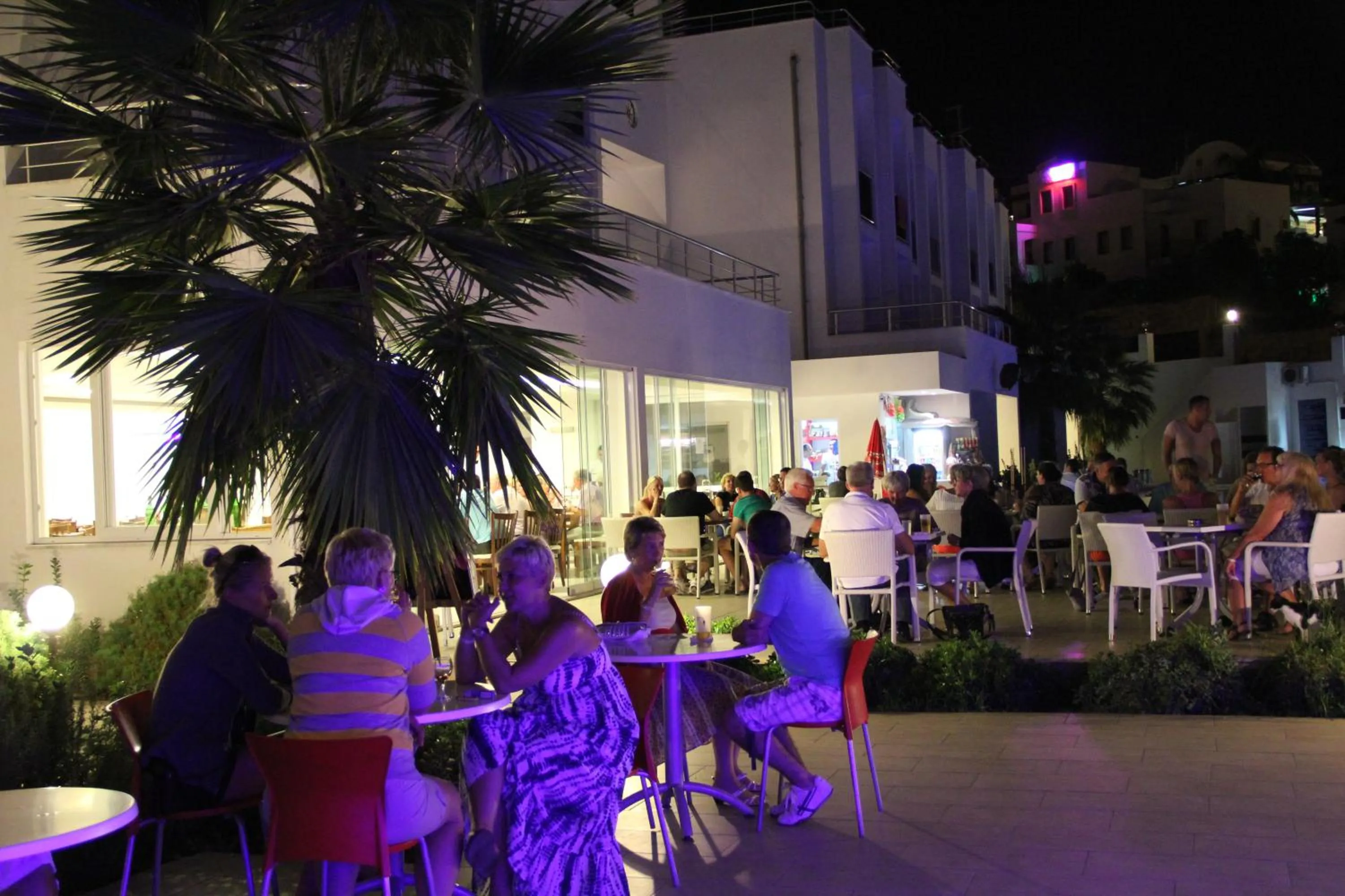 Lounge or bar in Club Shark Hotel