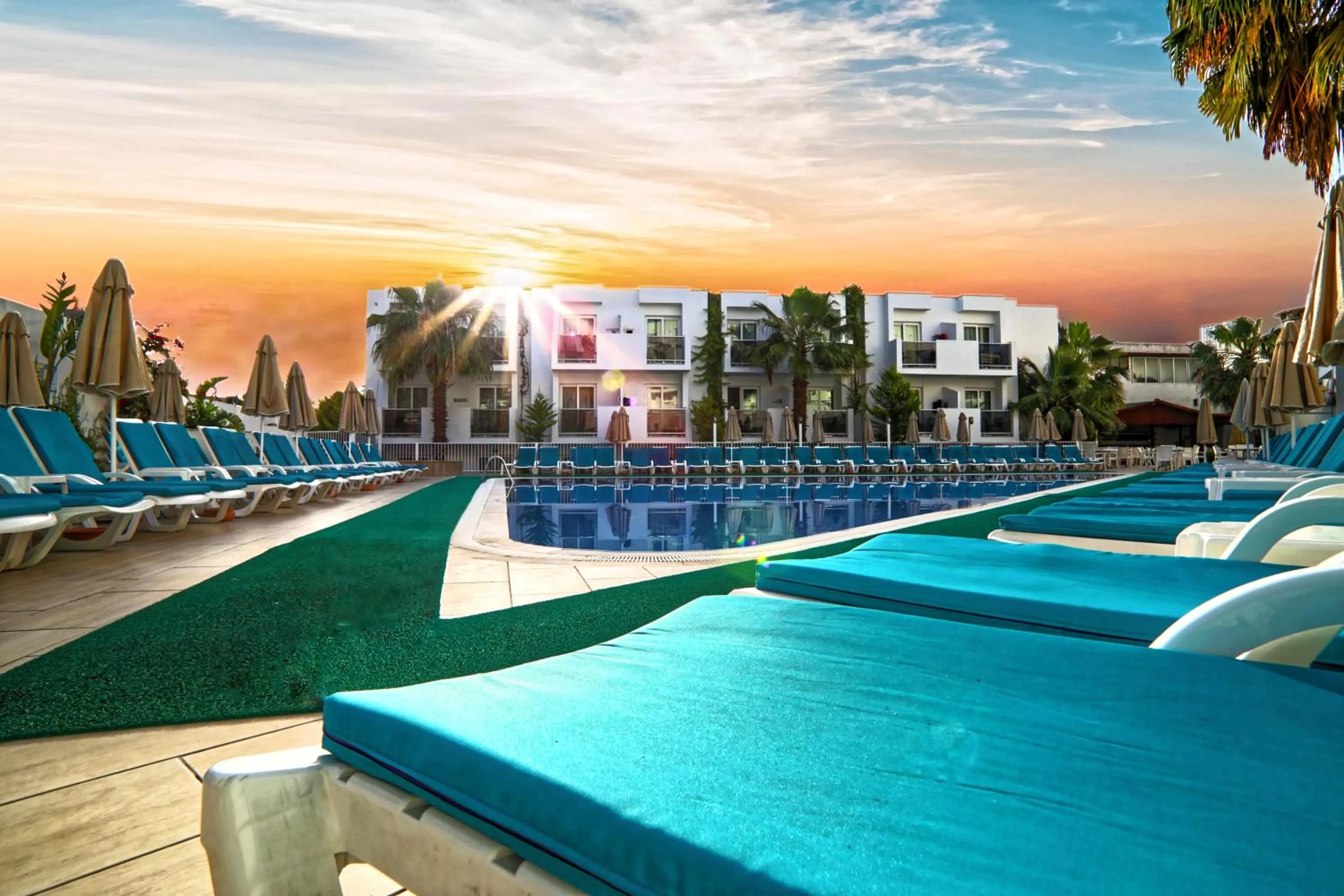 Swimming pool in Club Shark Hotel