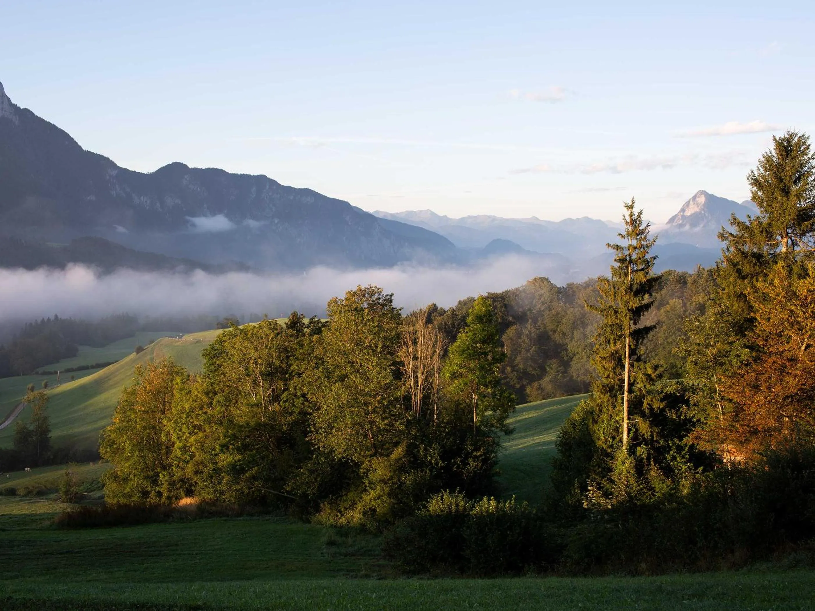 Natural landscape in Unterwirt - Restaurant & Gasthof Ebbs