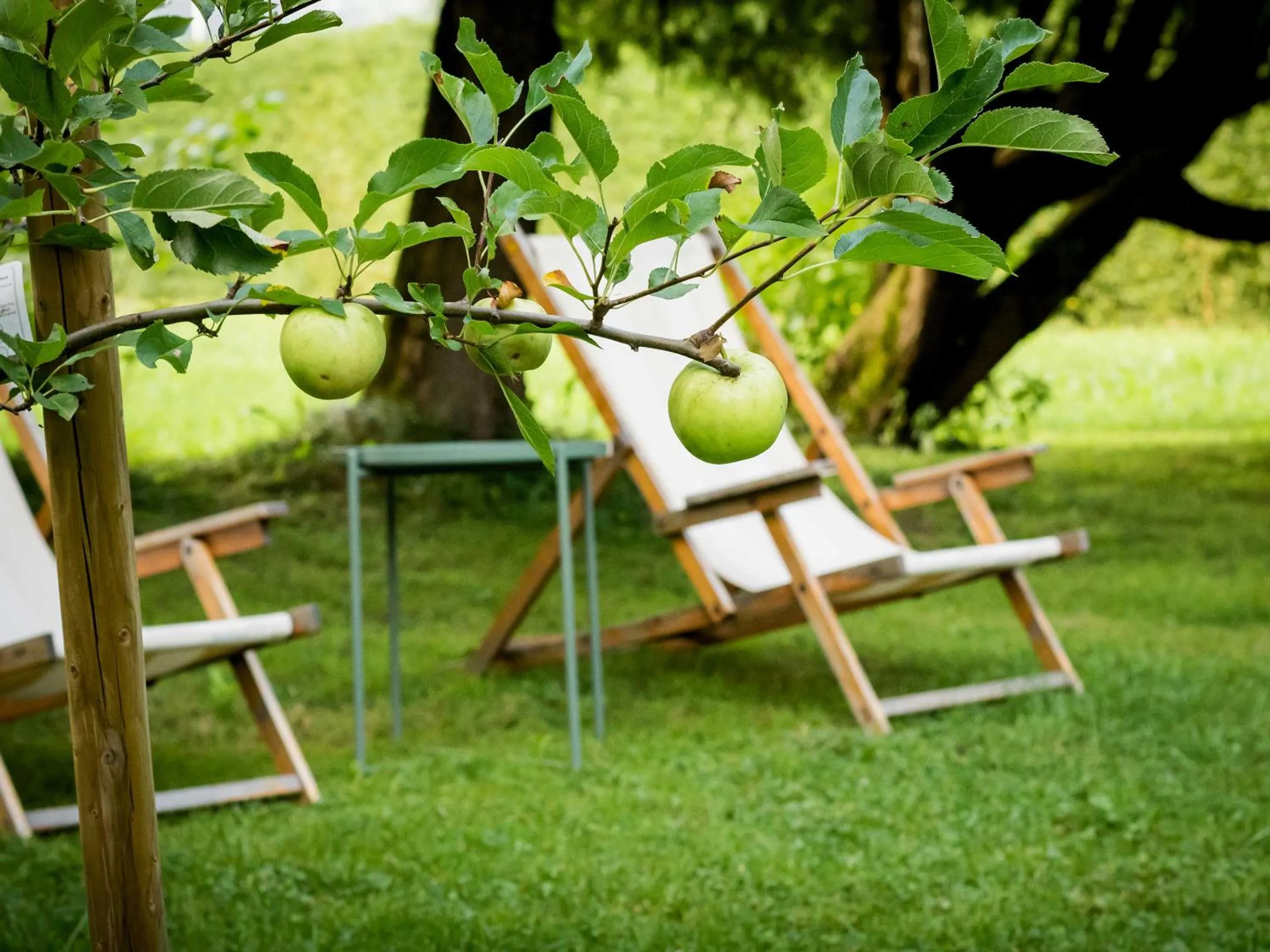 Garden in Unterwirt - Restaurant & Gasthof Ebbs