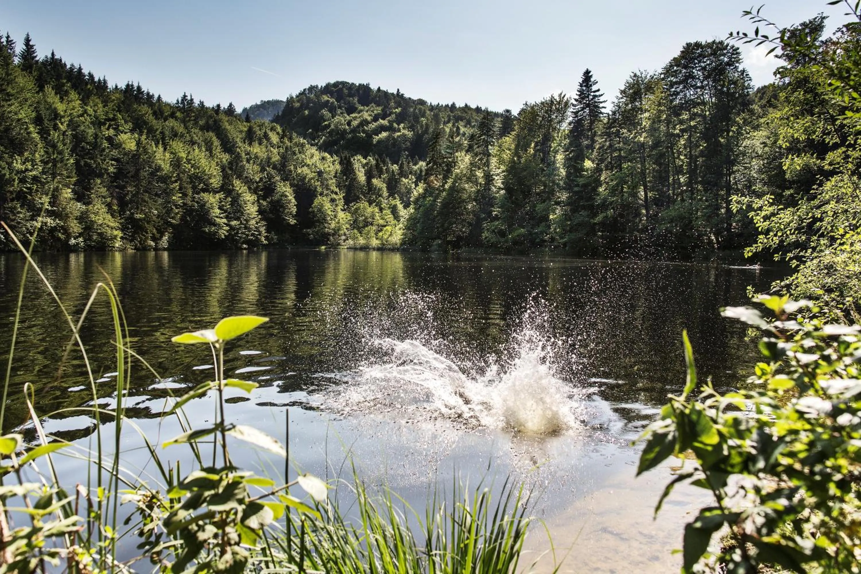 Natural landscape in Unterwirt - Restaurant & Gasthof Ebbs