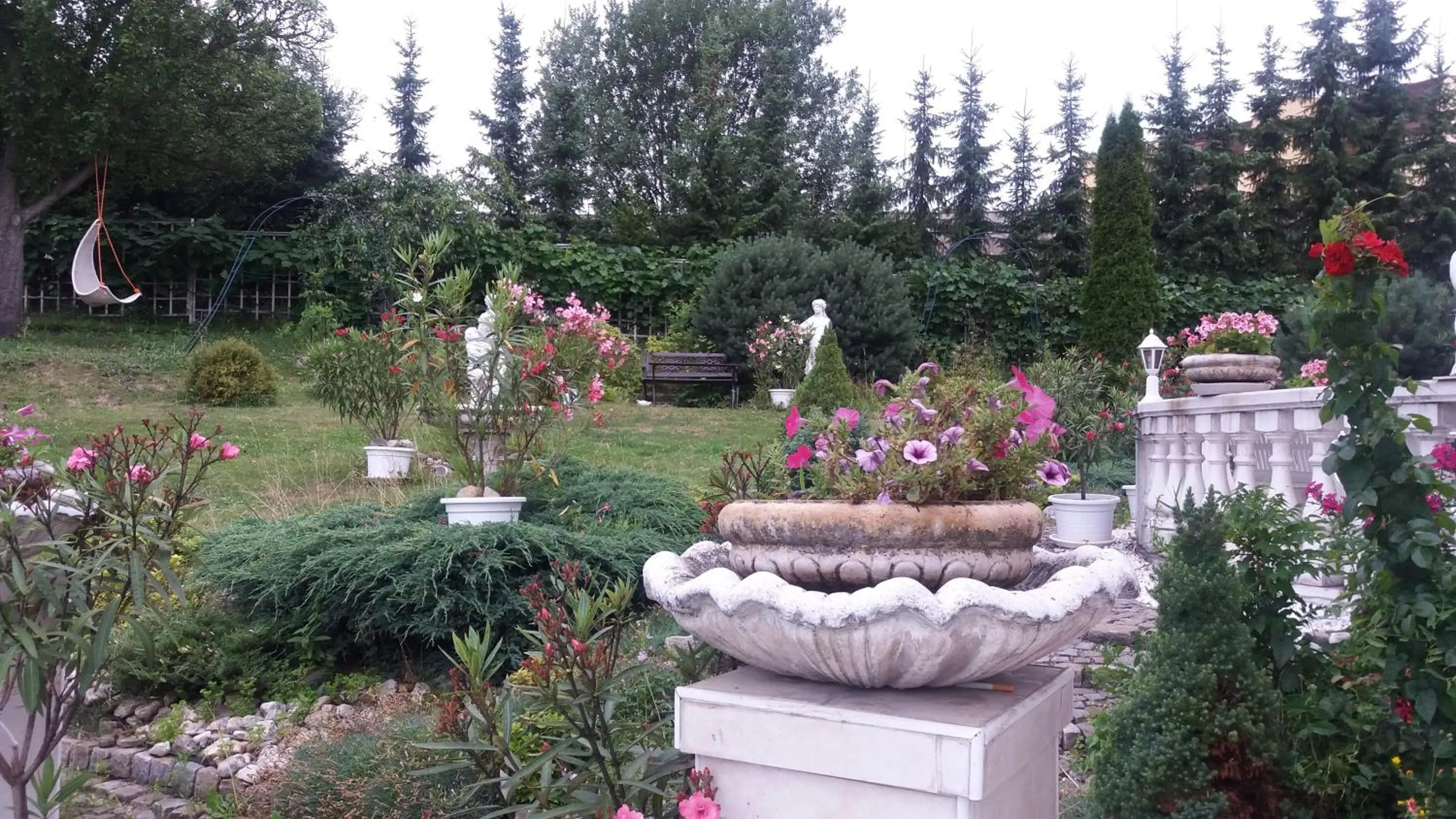 Garden in Hotel Garni