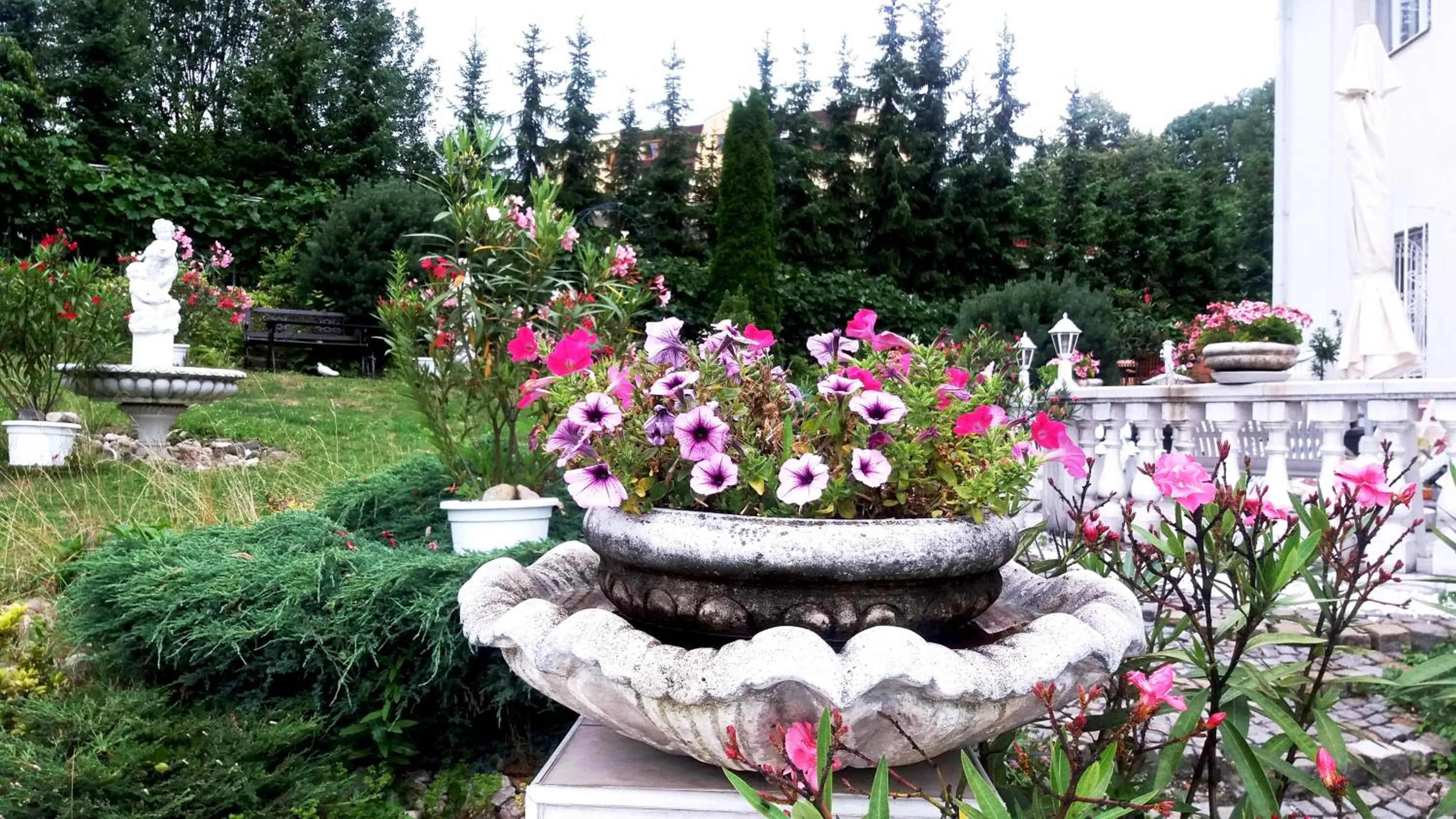 Garden in Hotel Garni