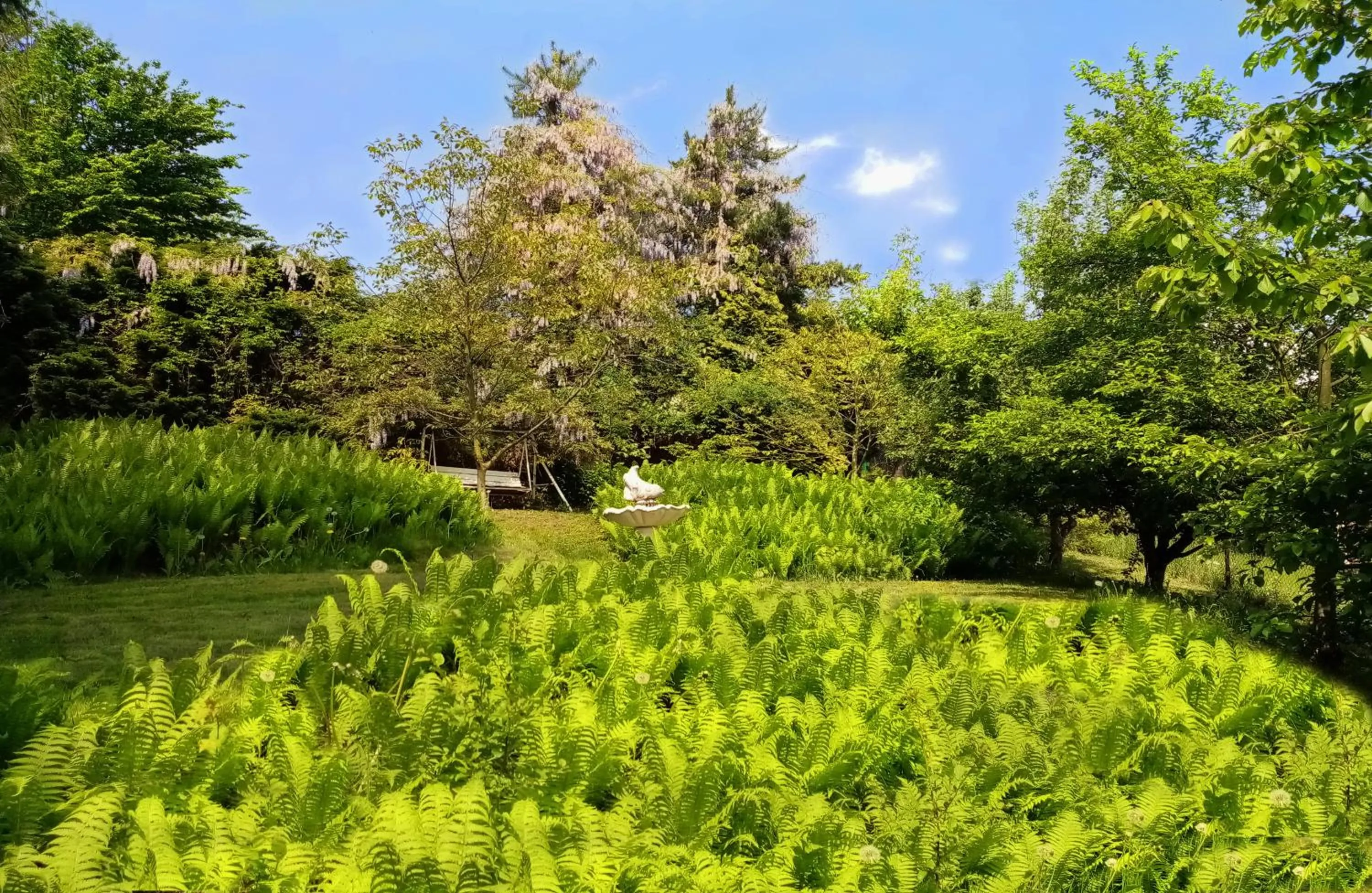 Garden in Hotel Garni